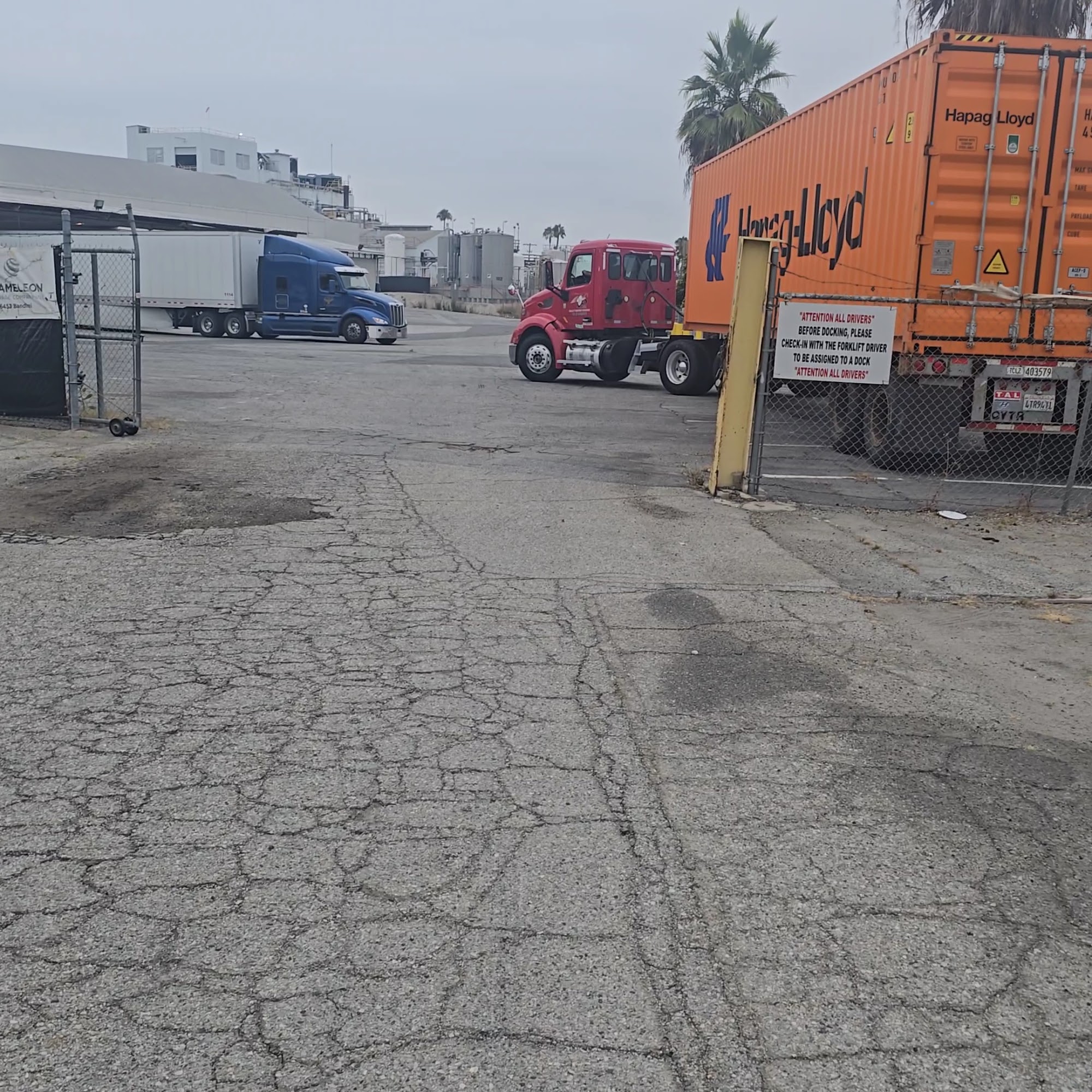 Chameleon Beverage Co Inc shipping and receiving Commerce