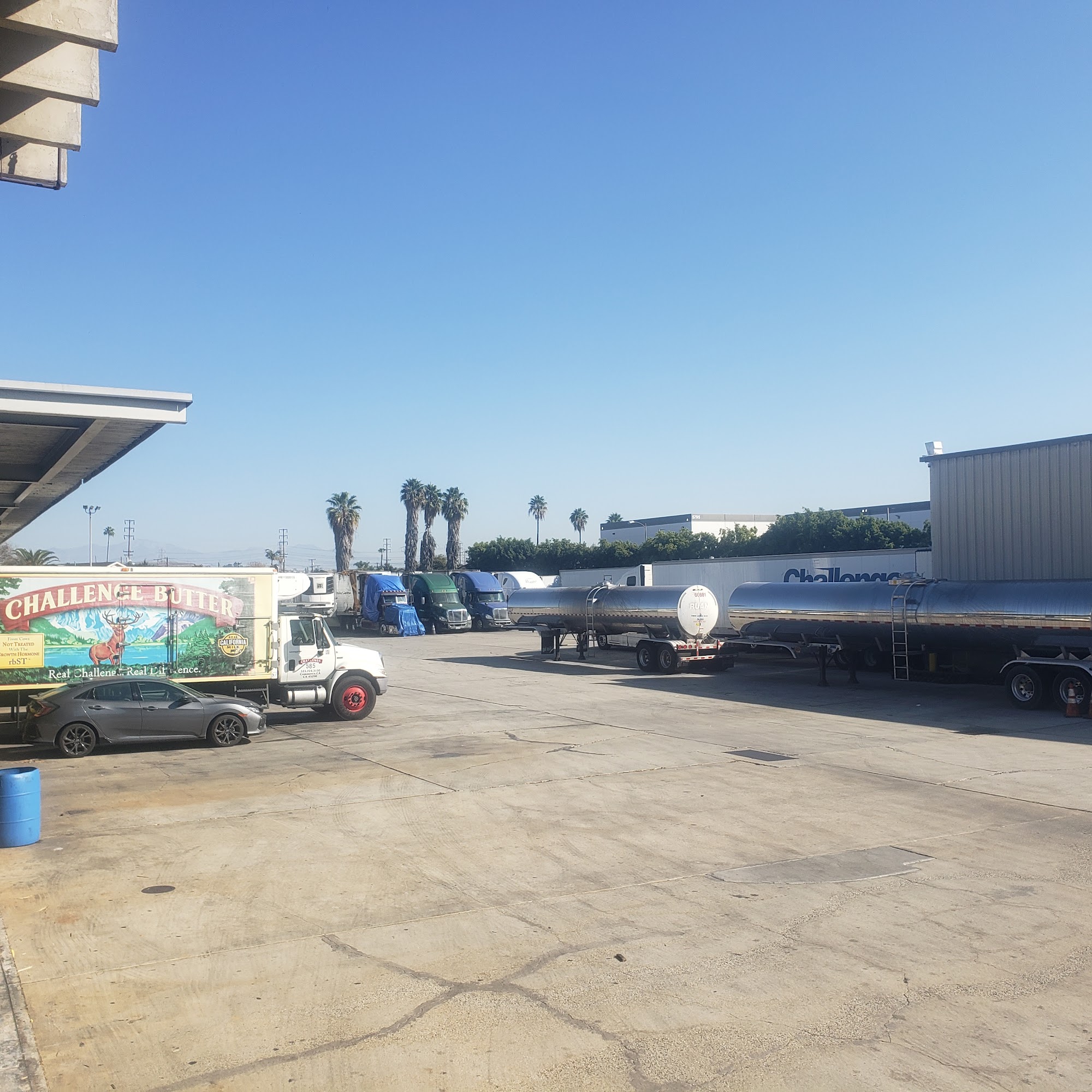 Rex Creamery Commerce