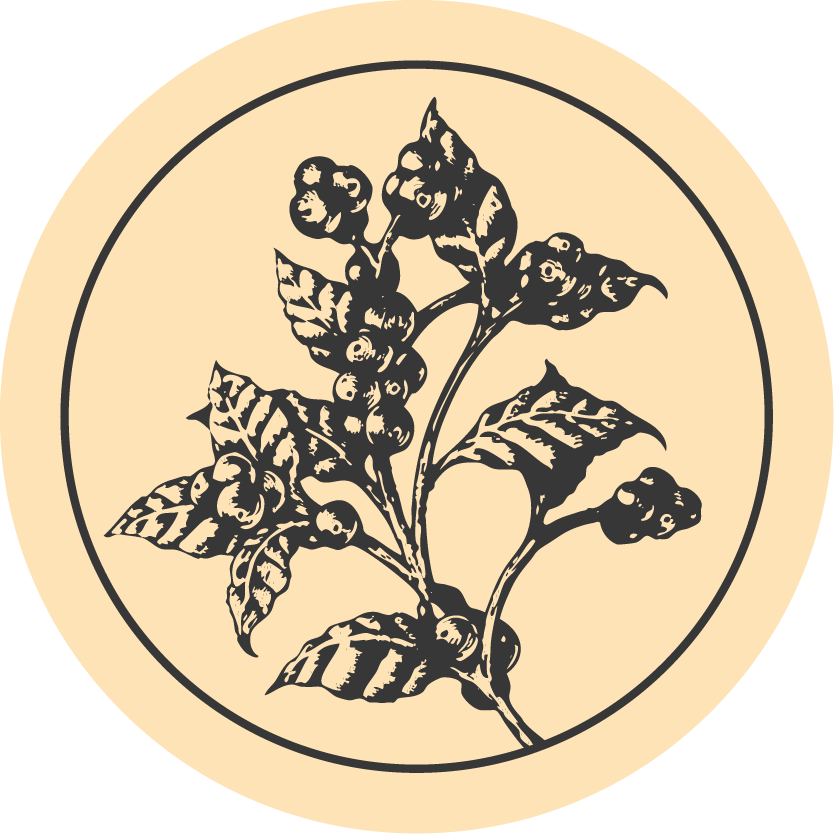 Patria Coffee Roasters Compton