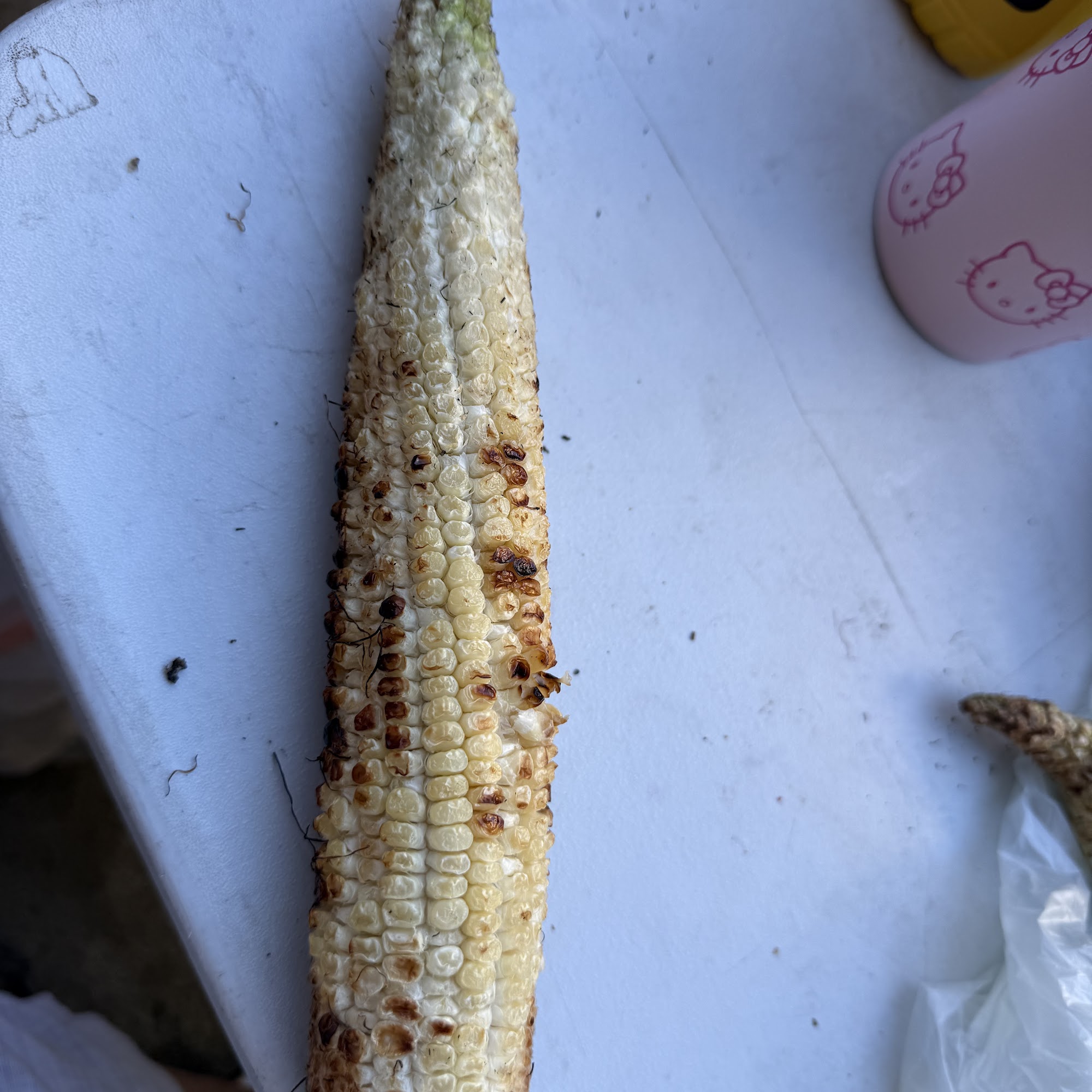 Garbanzos/Elotes Azados