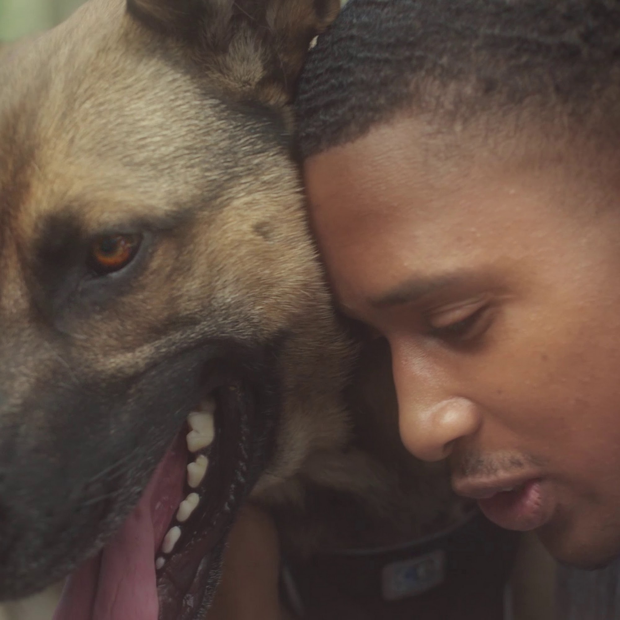 SAGE Veterinary Centers - Concord Concord