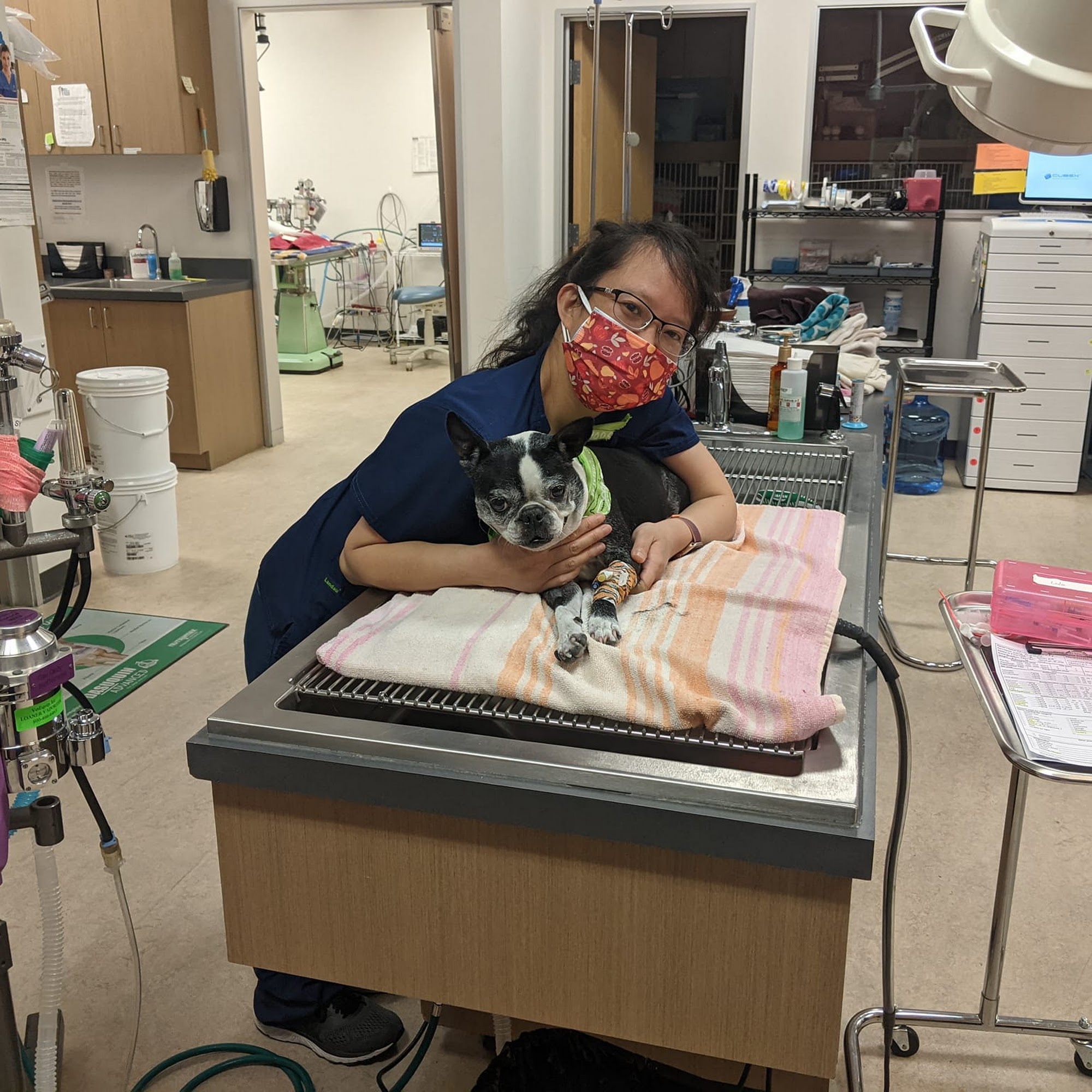 Four Corners Veterinary Hospitals Concord