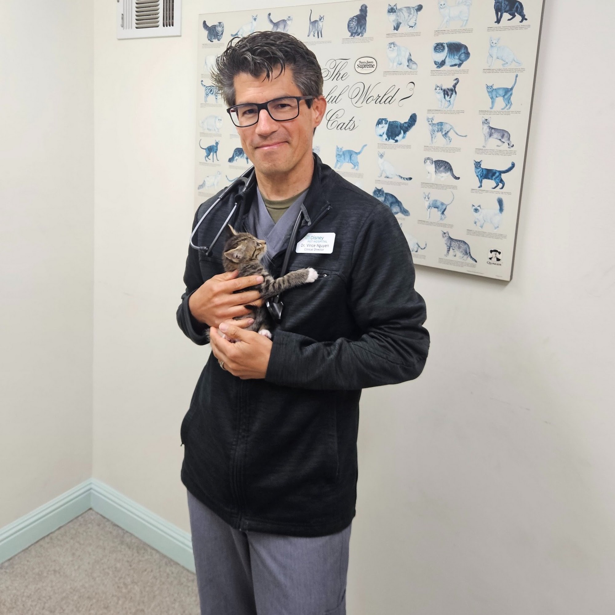 Disney Pet Hospital Concord