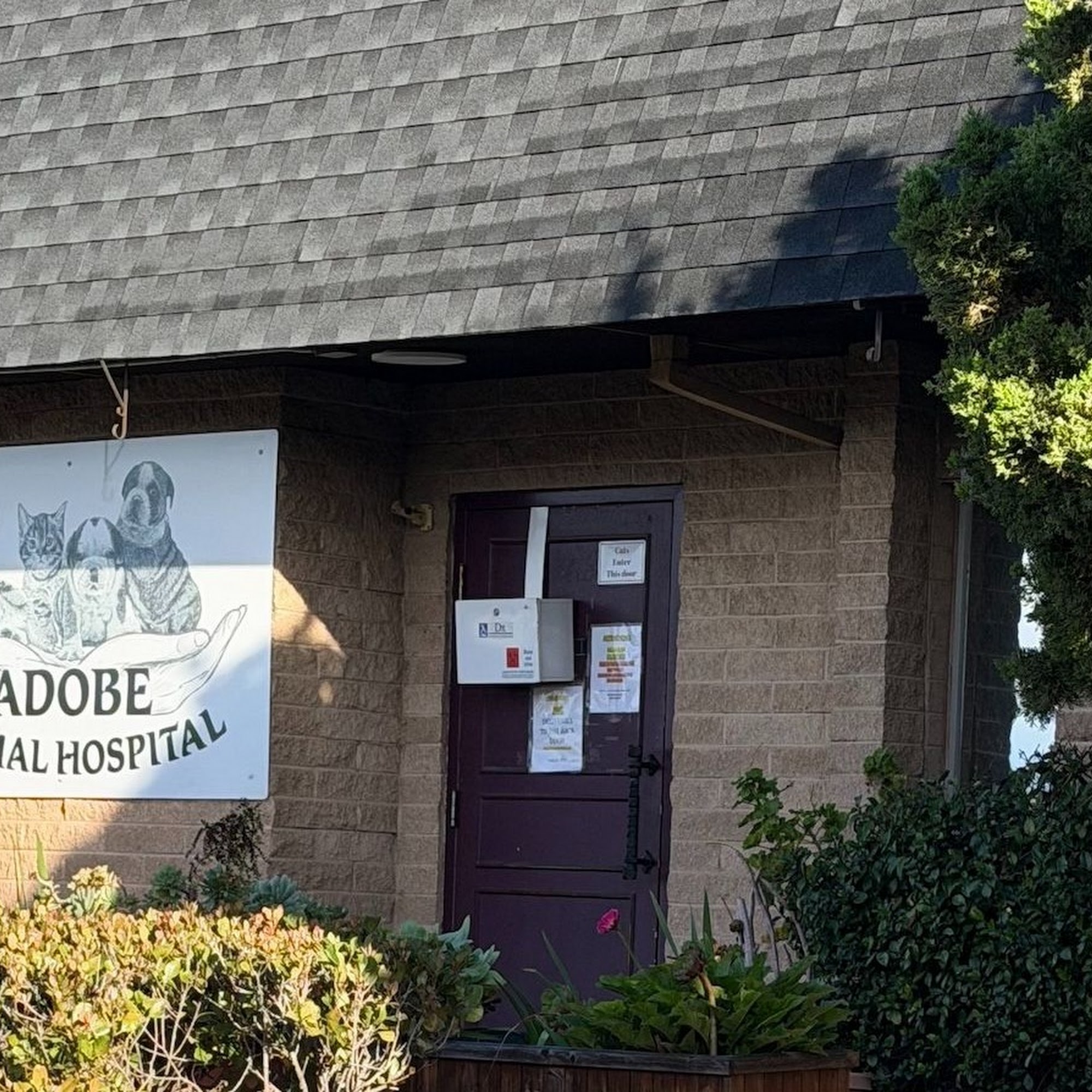 Adobe Animal Hospital Concord