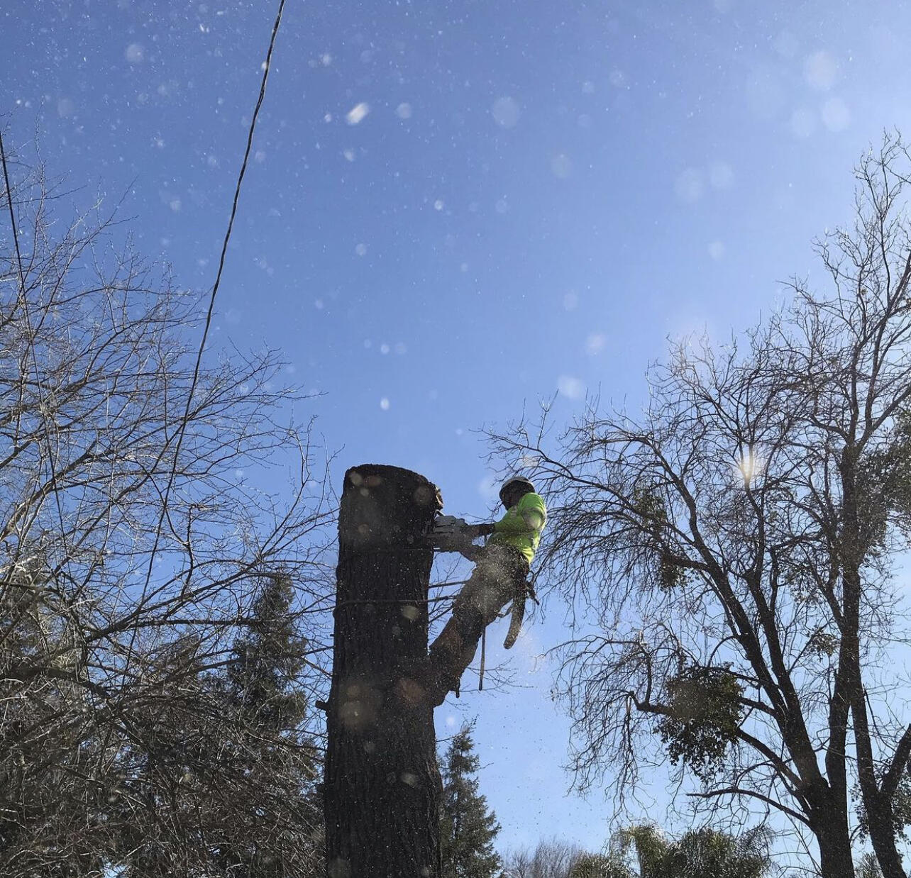 Photo credit: nextdoor