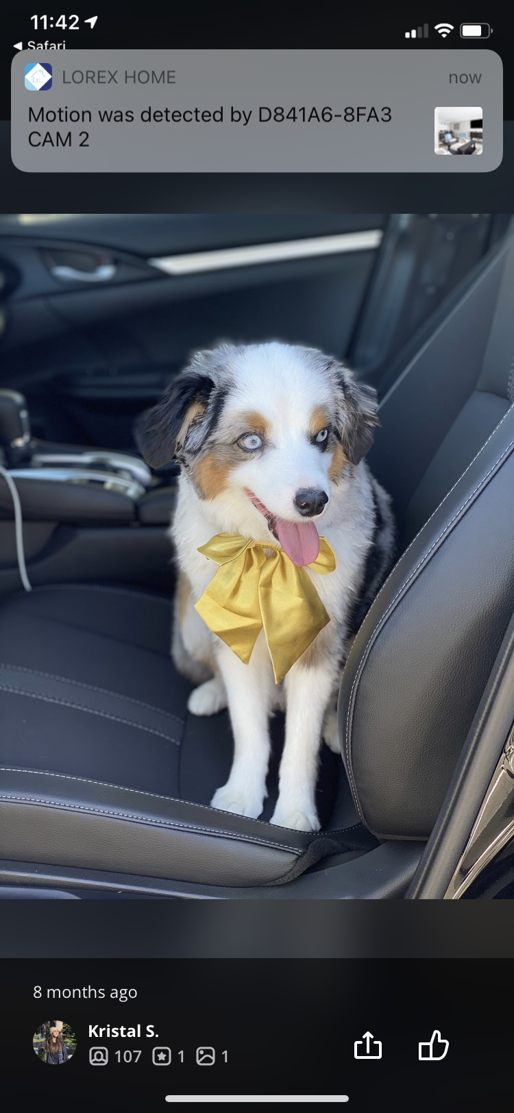 Photo credit: nextdoor