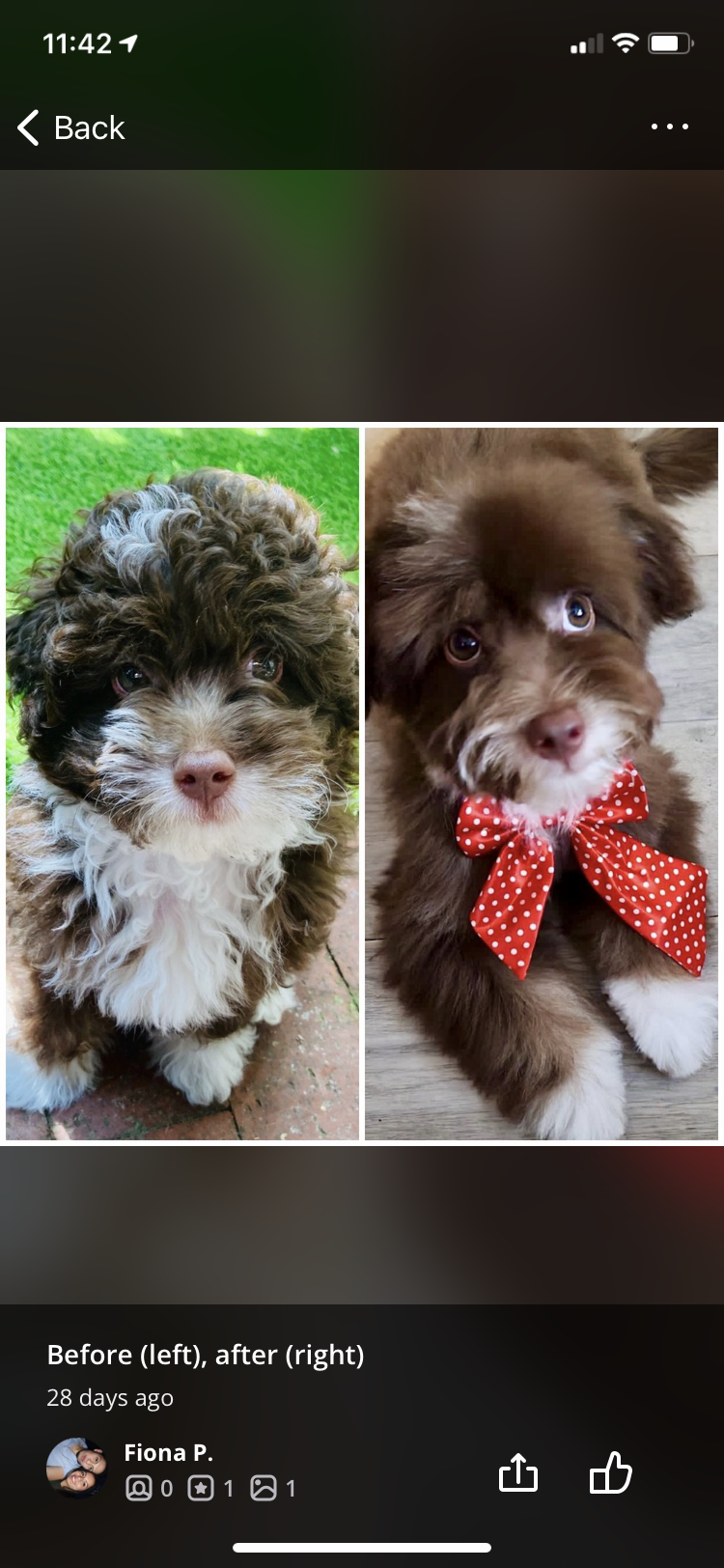 Photo credit: nextdoor