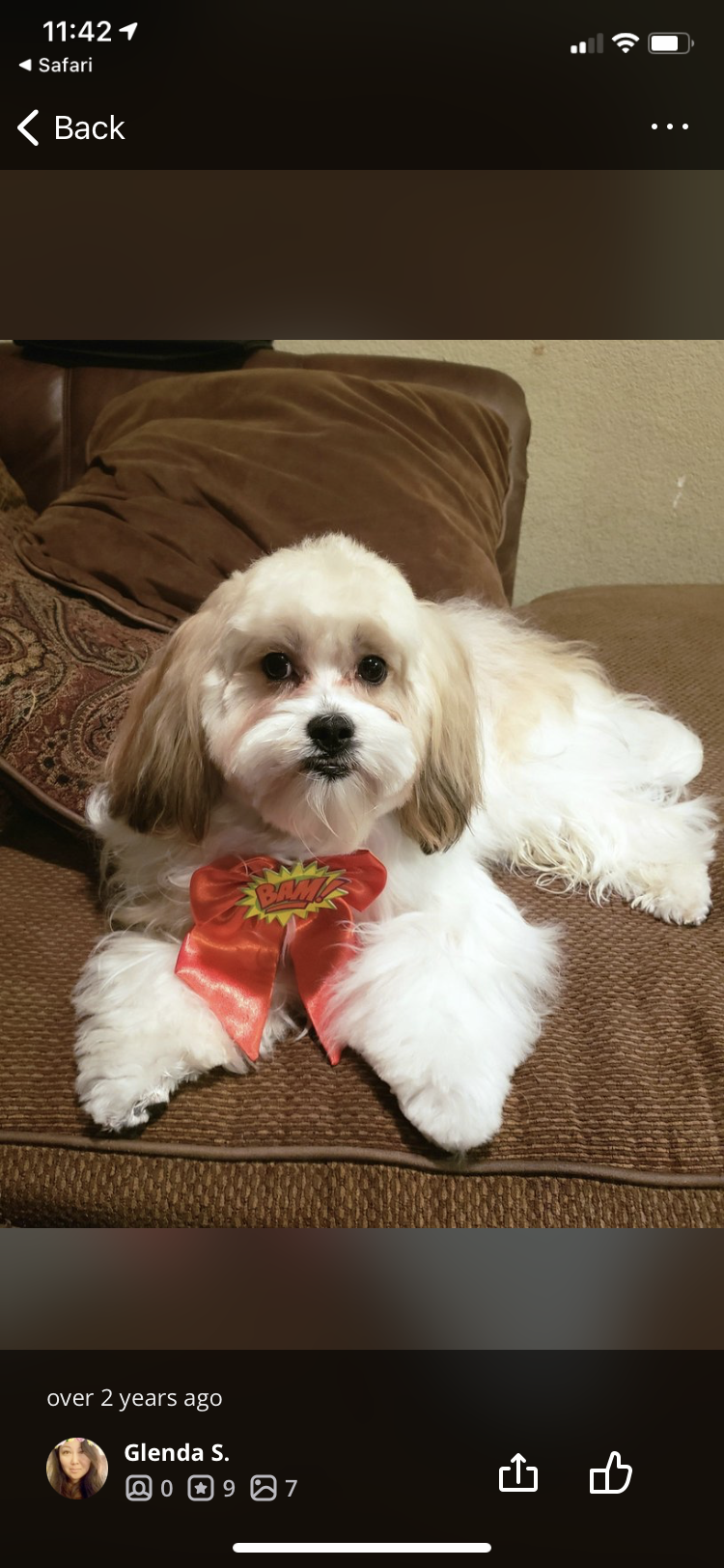 Perfect Pet Salon Concord