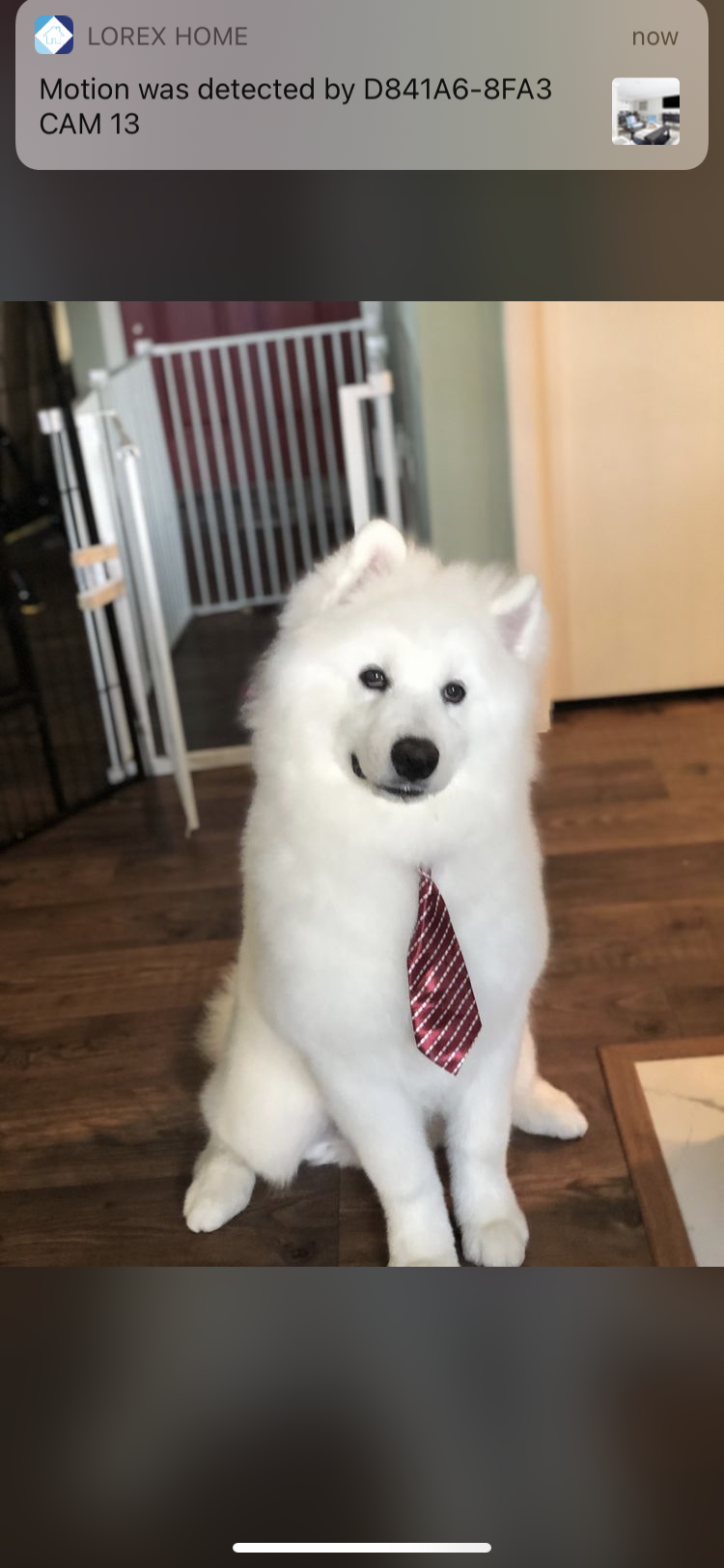 Photo credit: nextdoor