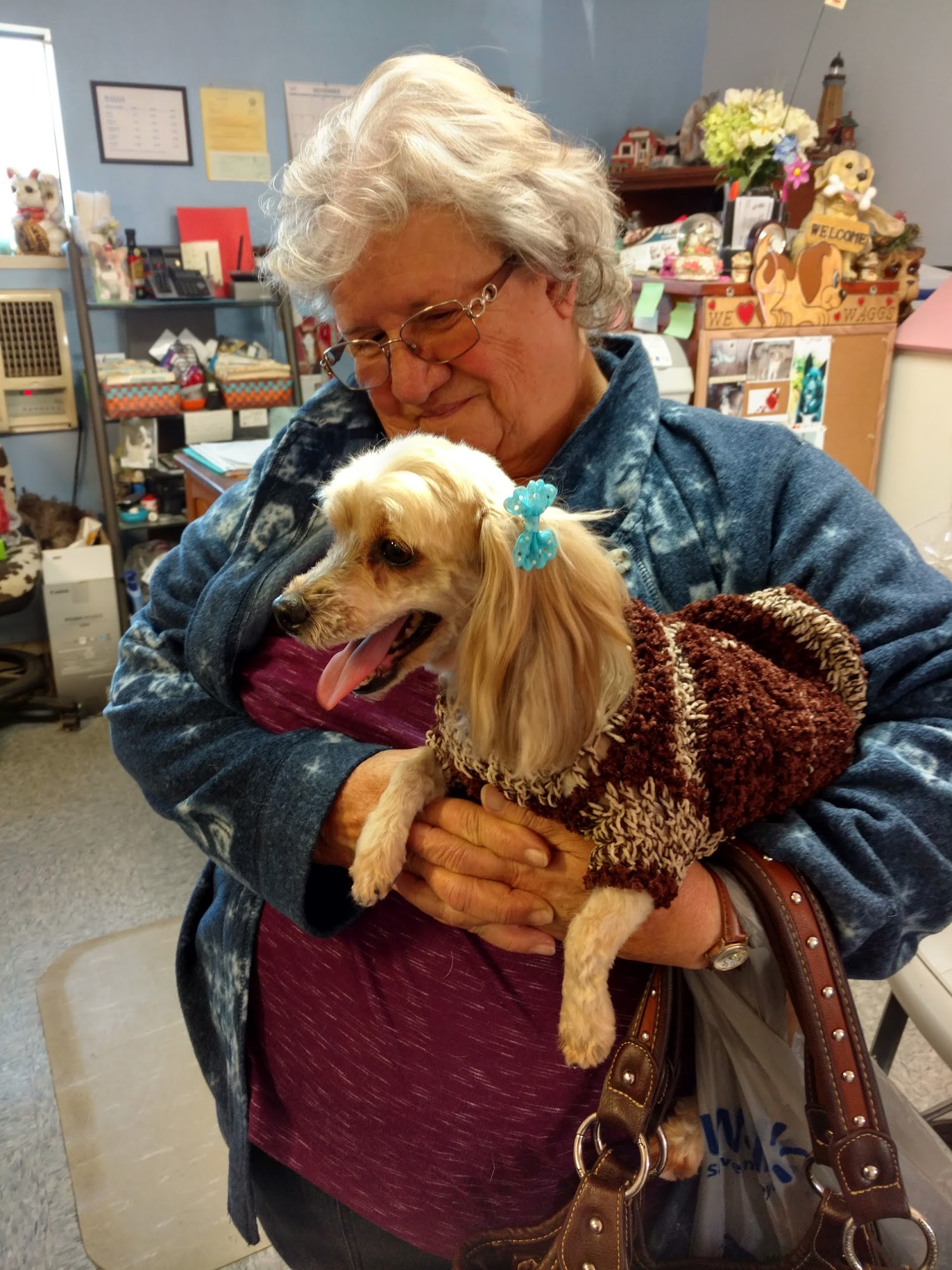 Waggs Pet Spaw Corning