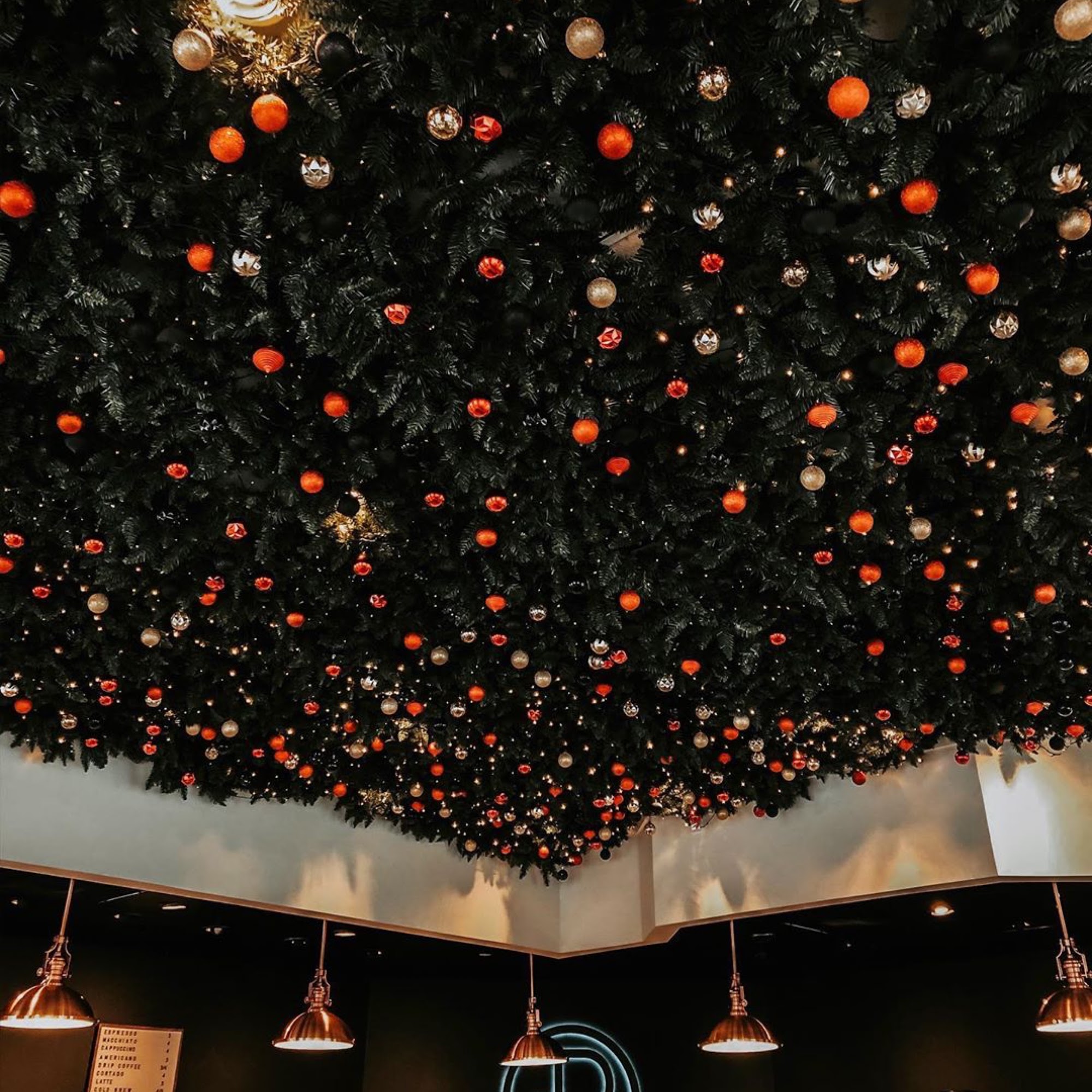 Reborn Coffee Corona Del Mar