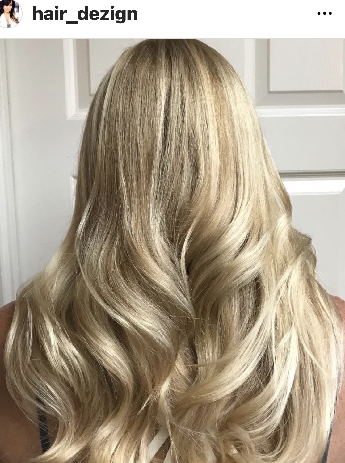 Elsa Martinez Hair Designs