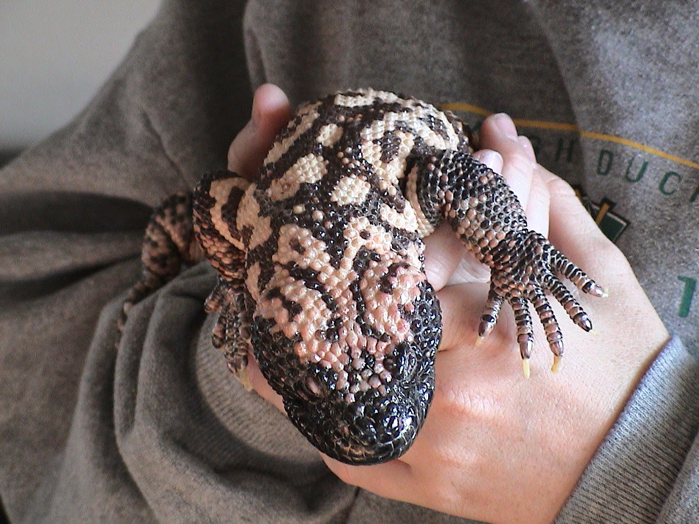 Animal Medical Center of Corona, Barton C. Huber, DVM, Dr. Bart Corona