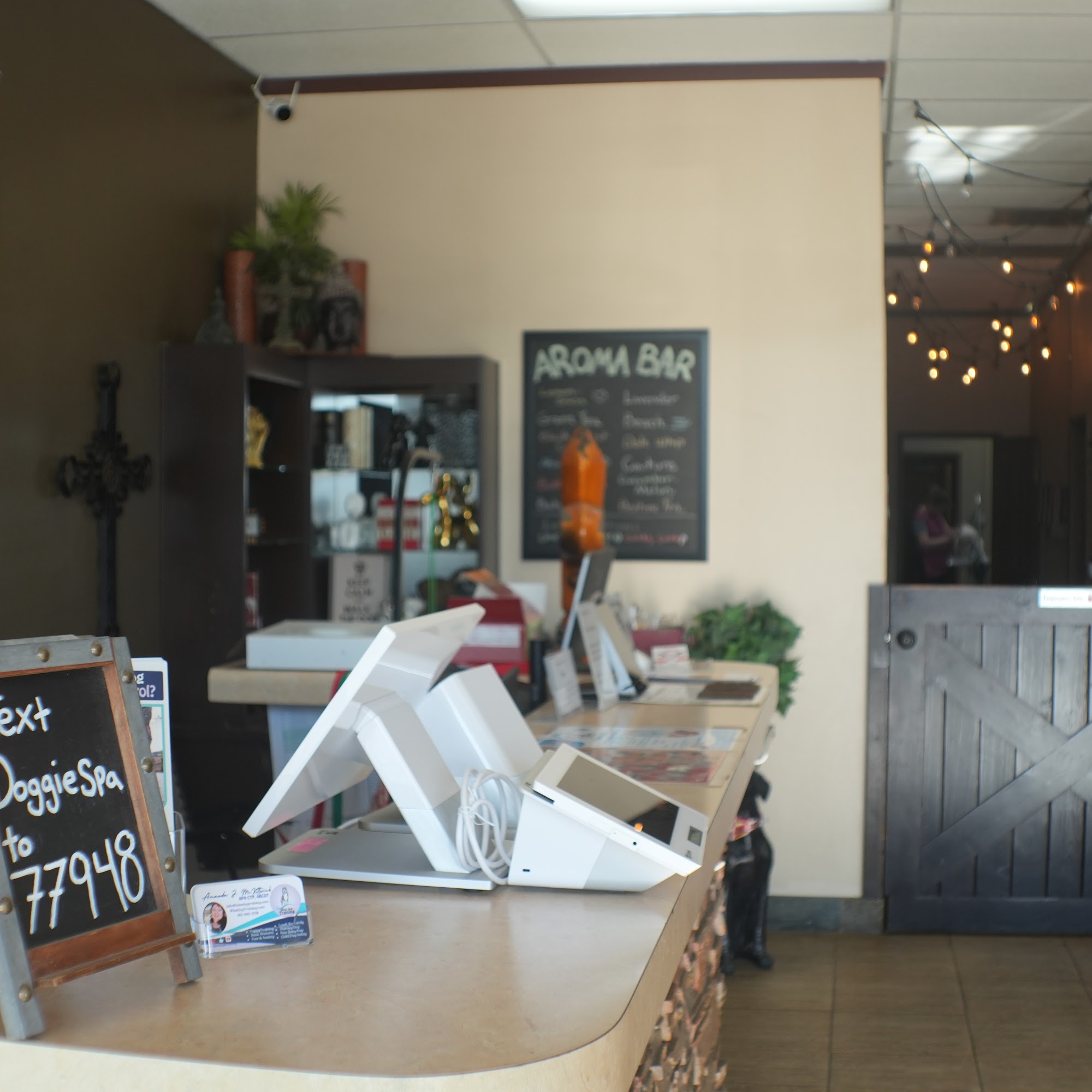 Doggie Spa Corona Corona