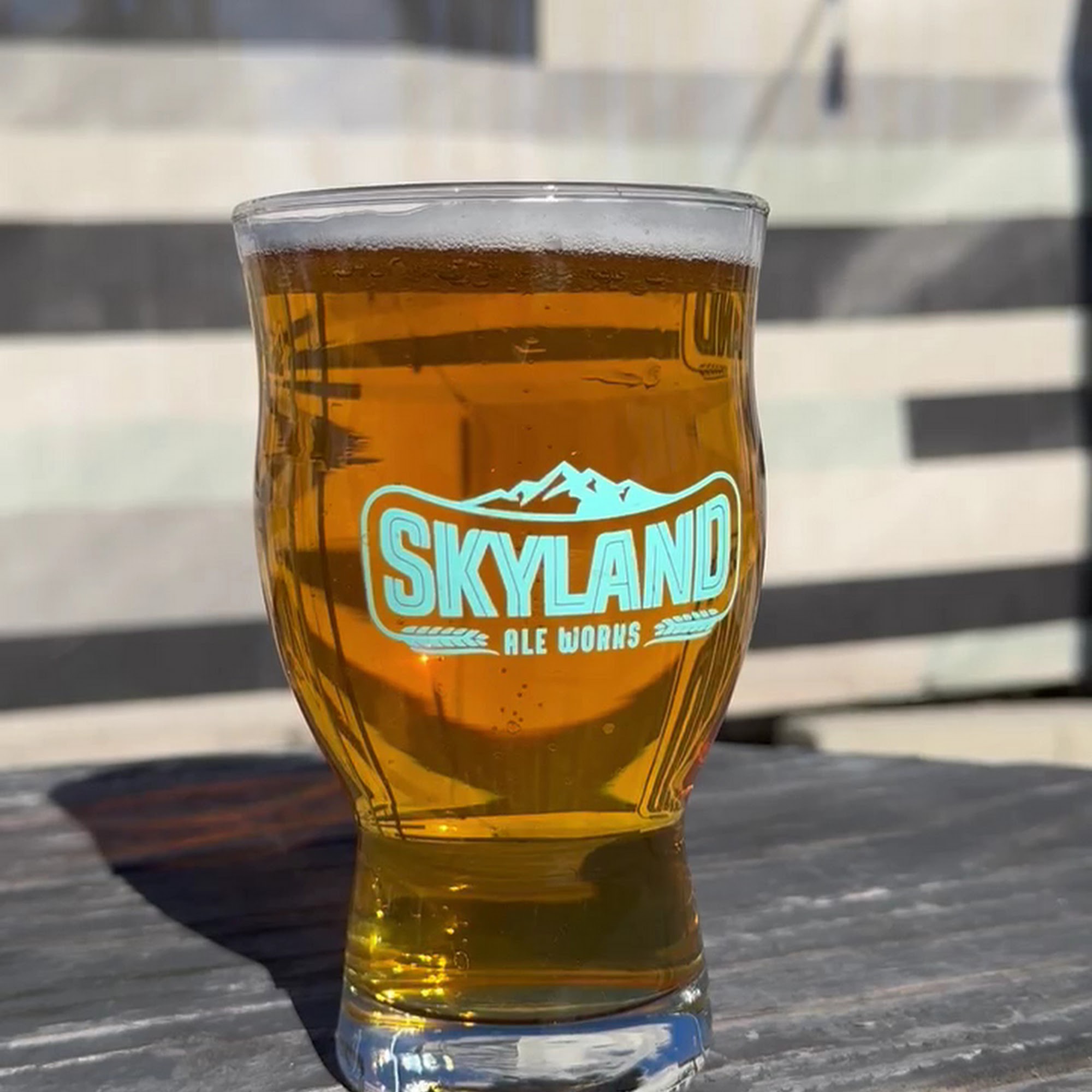 Skyland Ale Works Corona