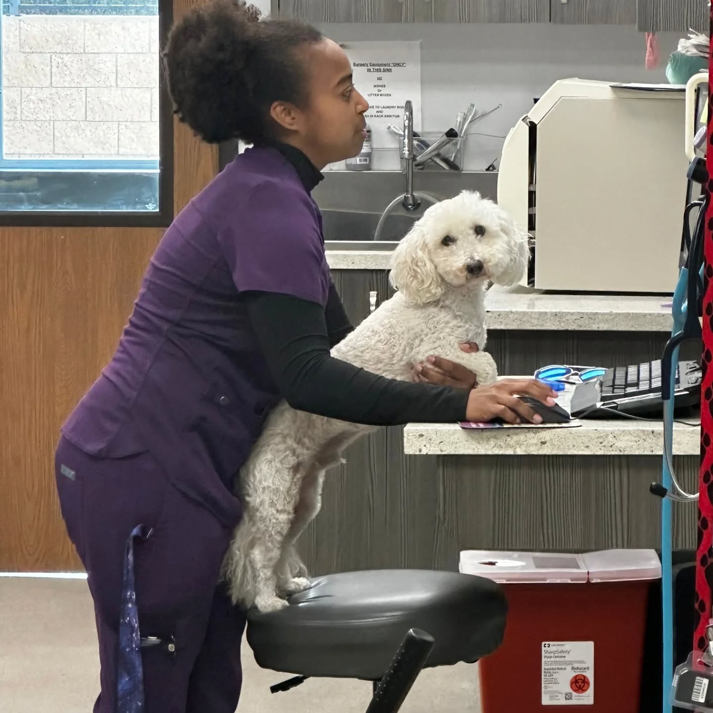 Sacred Hearts Veterinary Hospital Corona