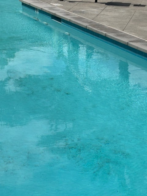 1 Stop Pool Pros, Inc.