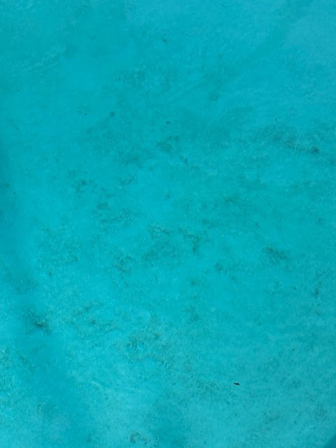 1 Stop Pool Pros, Inc.