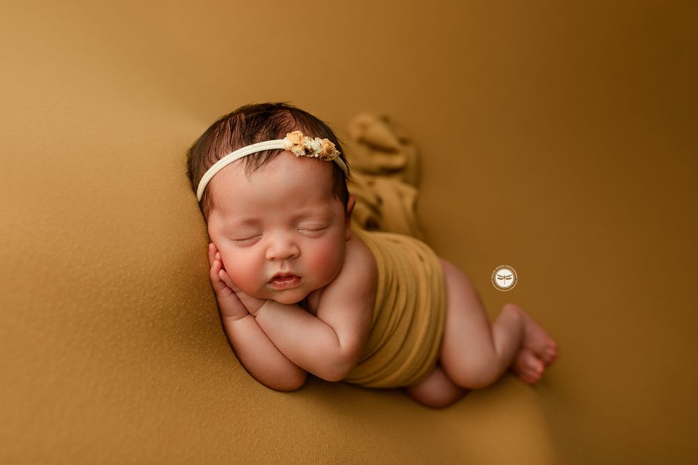 Photo credit: 