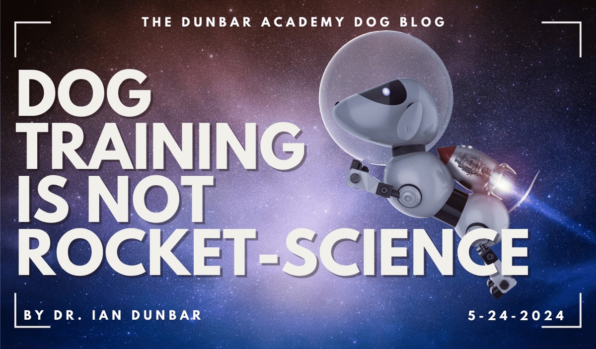 SIRIUS Puppy & Dog Training