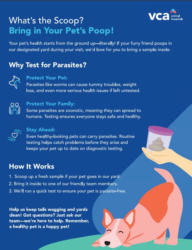 Madera Pet Hospital: Kallet A J DVM Corte Madera
