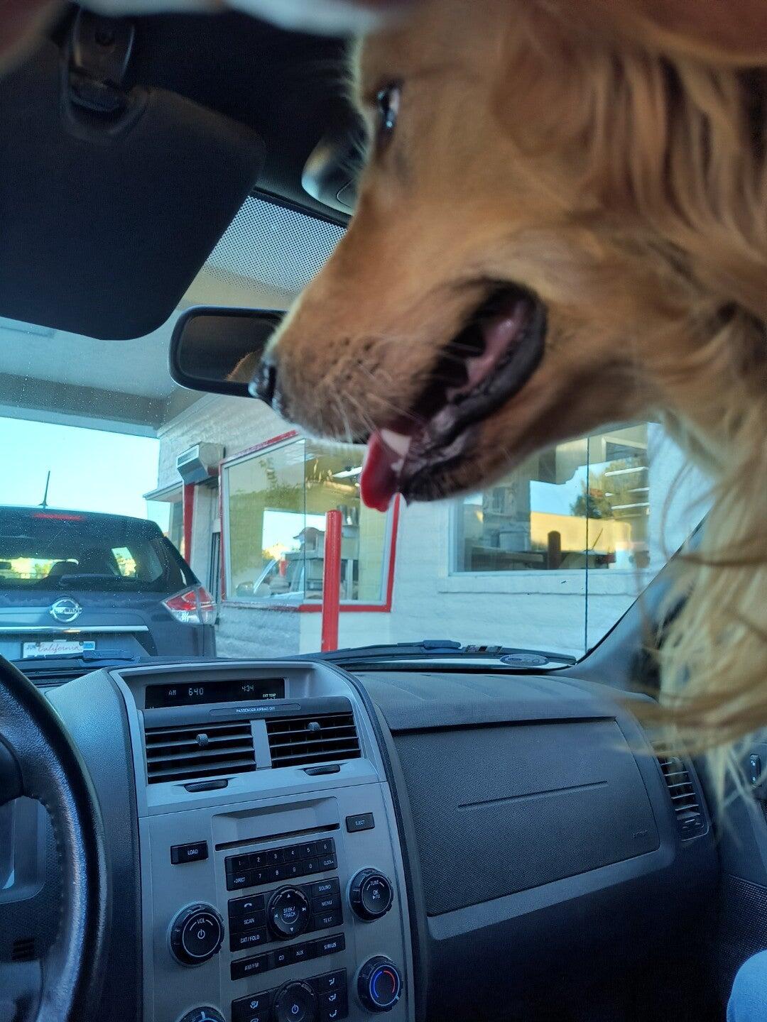 Photo credit: nextdoor