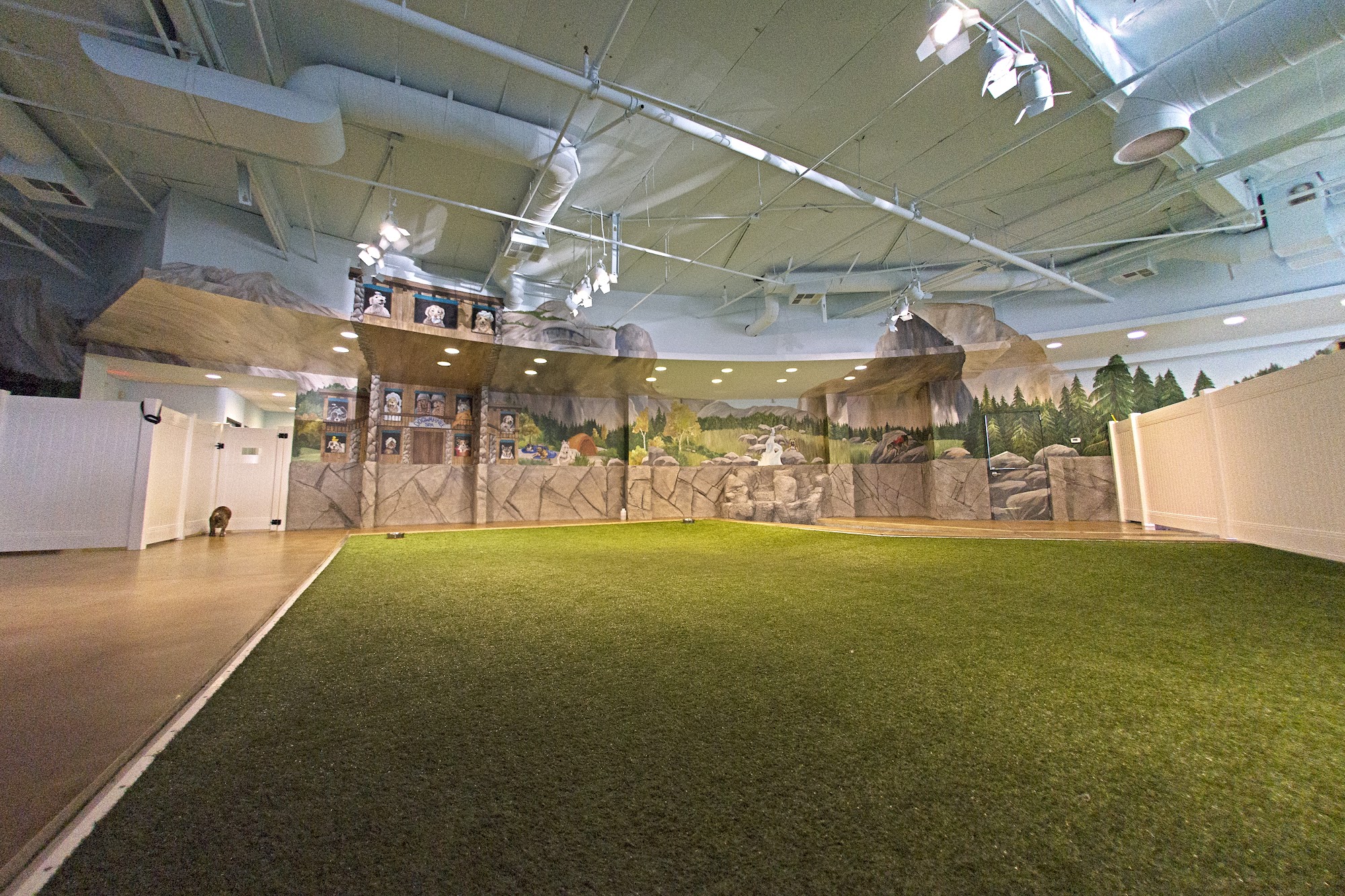 Doggie Daycare...And More Costa Mesa