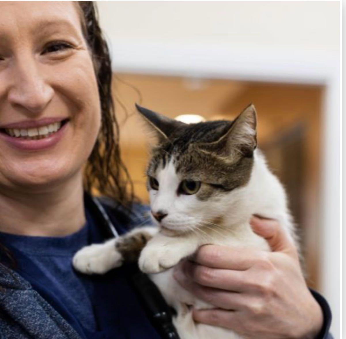 Newport Mesa Animal Hospital Costa Mesa