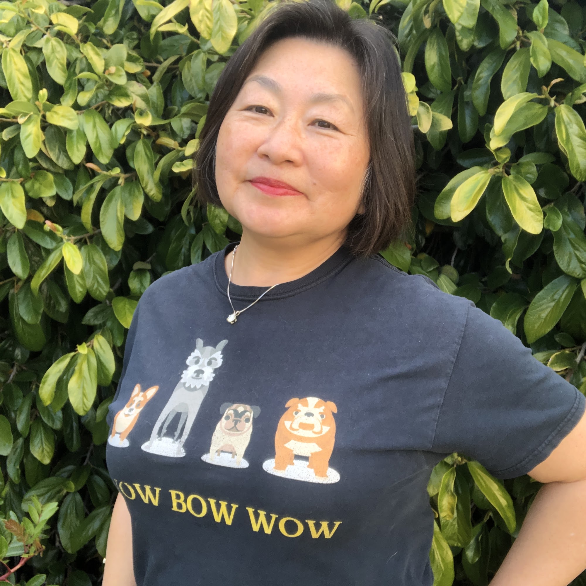 Wow Bow Wow Dog Trainer Costa Mesa