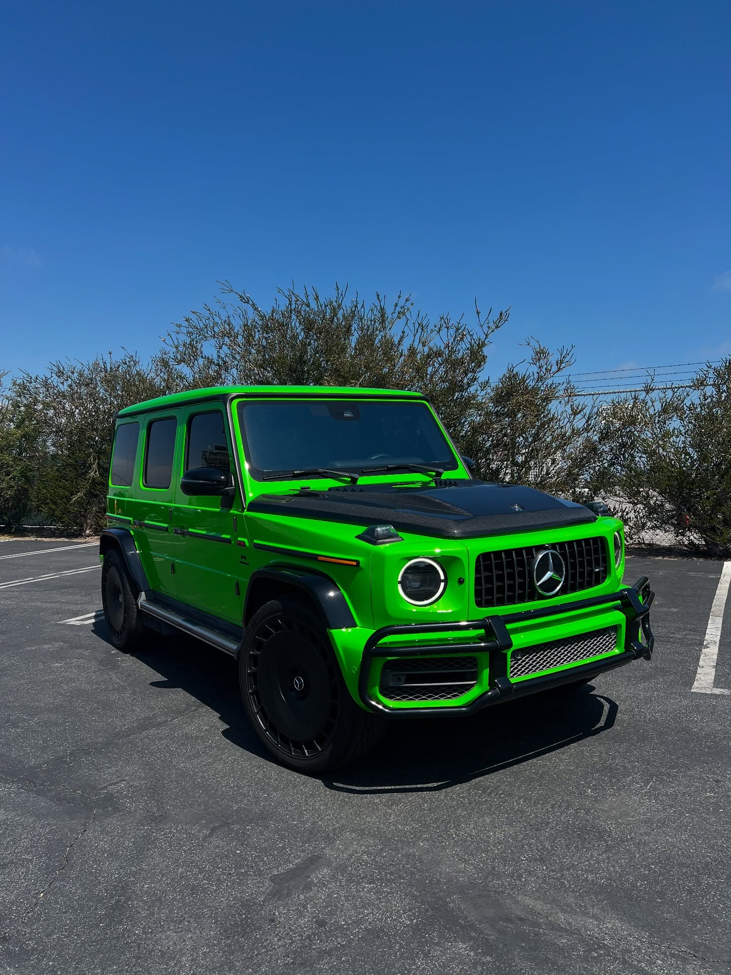 Bee Wrapped Costa Mesa