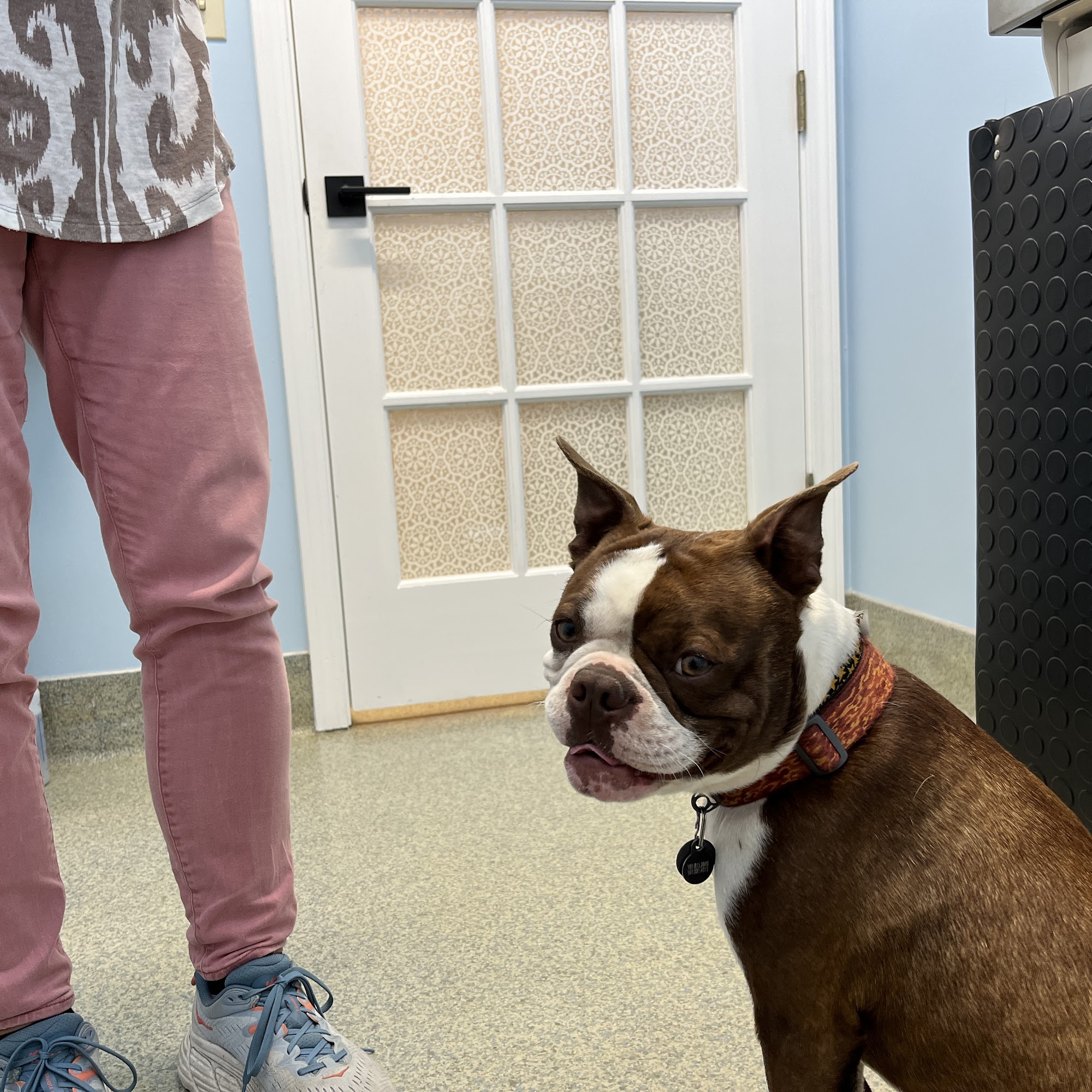 La Plaza Veterinary Clinic Cotati