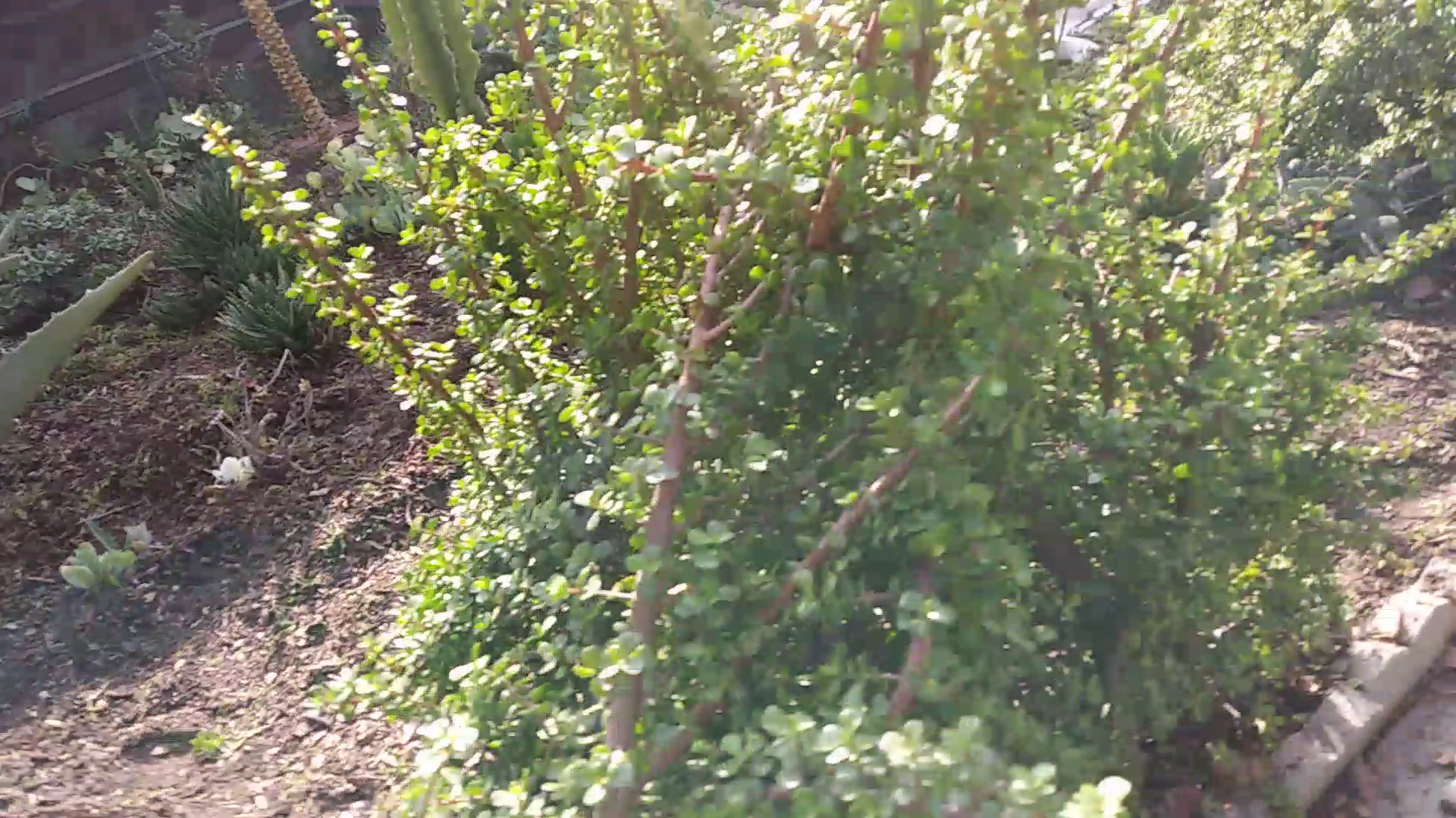 4inal4 Sports Bar Menu