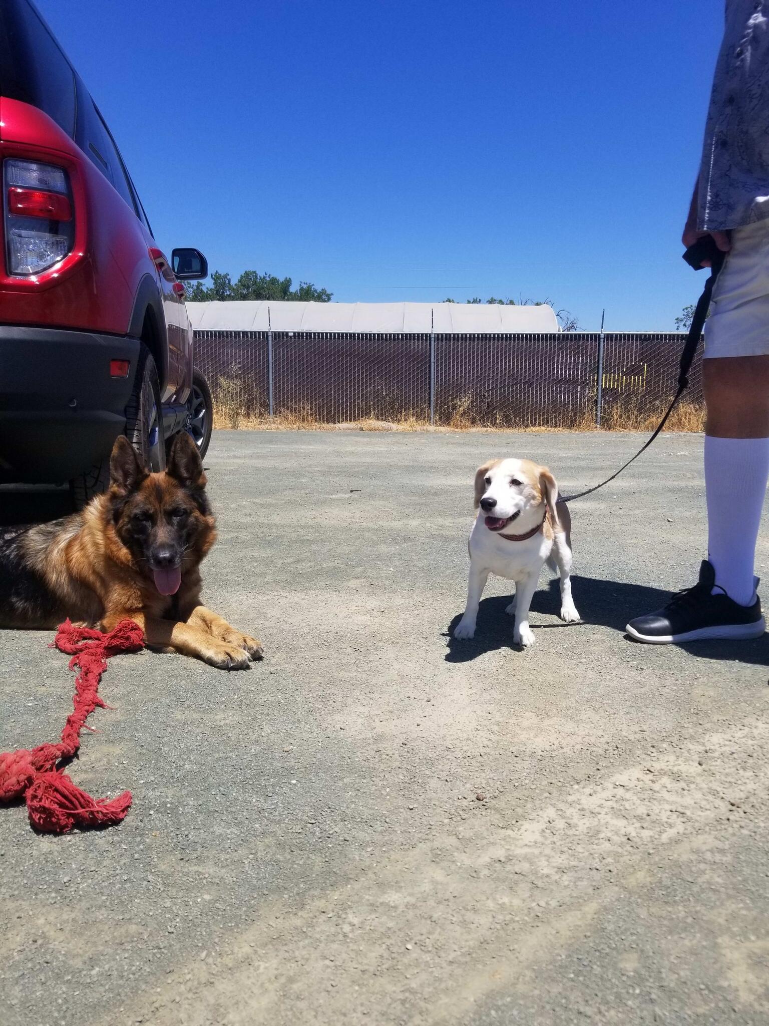 Photo credit: nextdoor