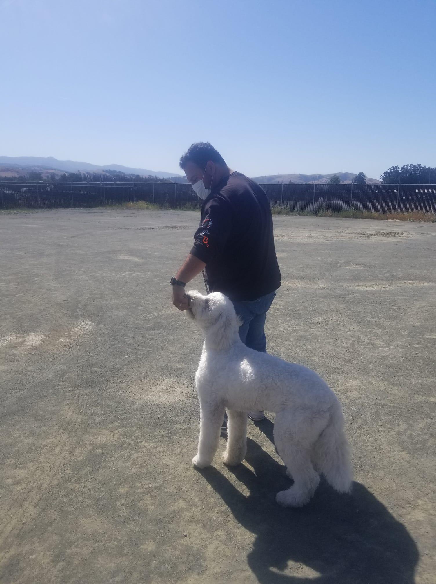 Photo credit: nextdoor