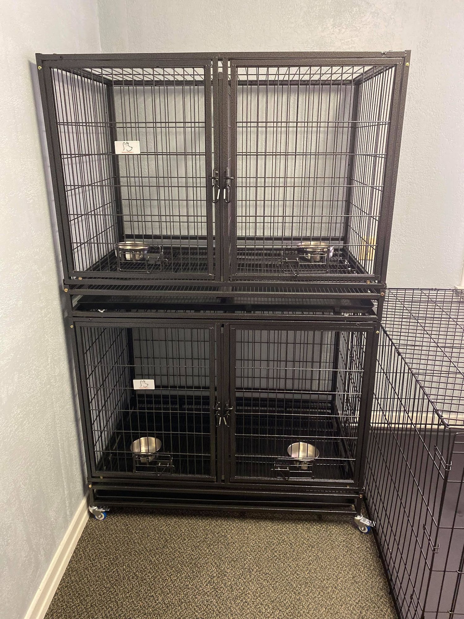 The Dog Wash Crestline