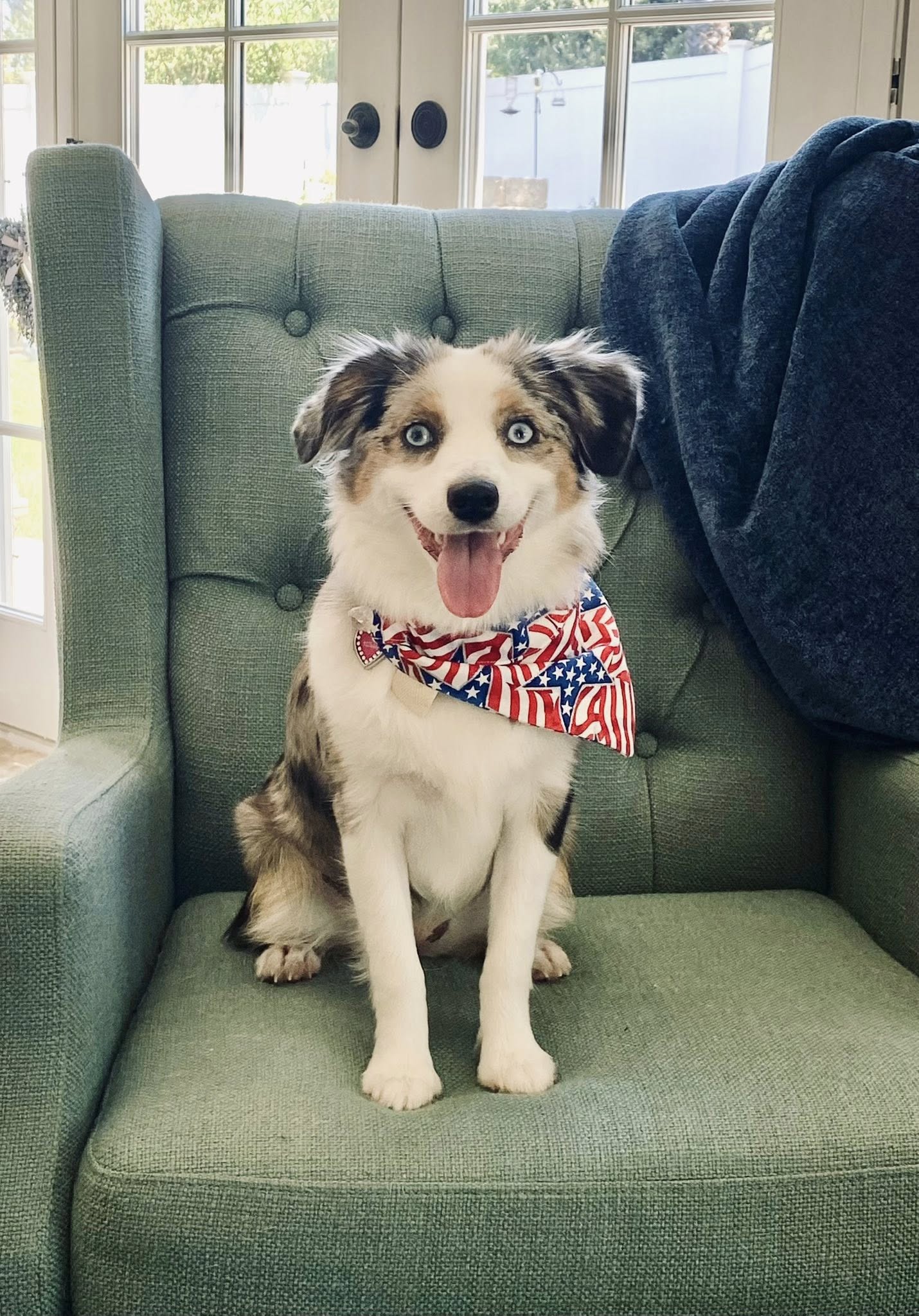 Rocky Top Kennels Creston