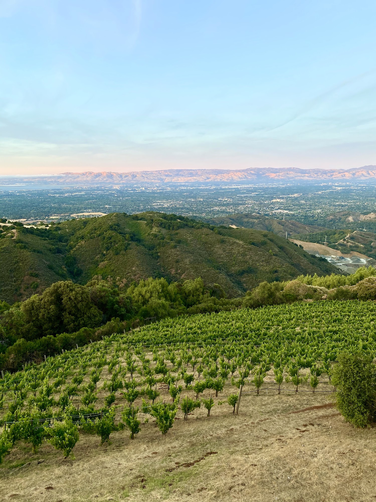 Naumann Vineyards Menu