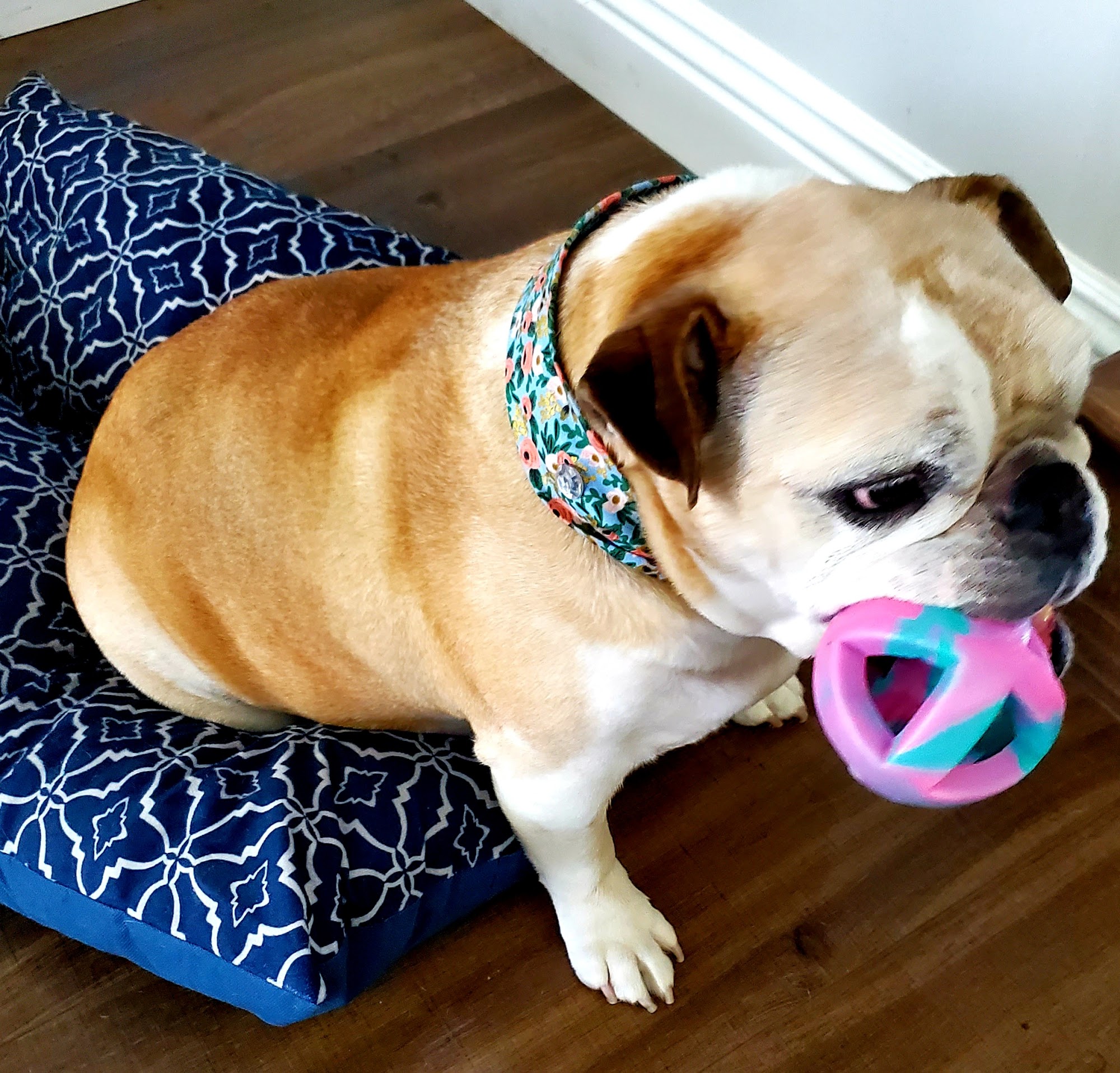 "Business Is Grooming!" Cypress