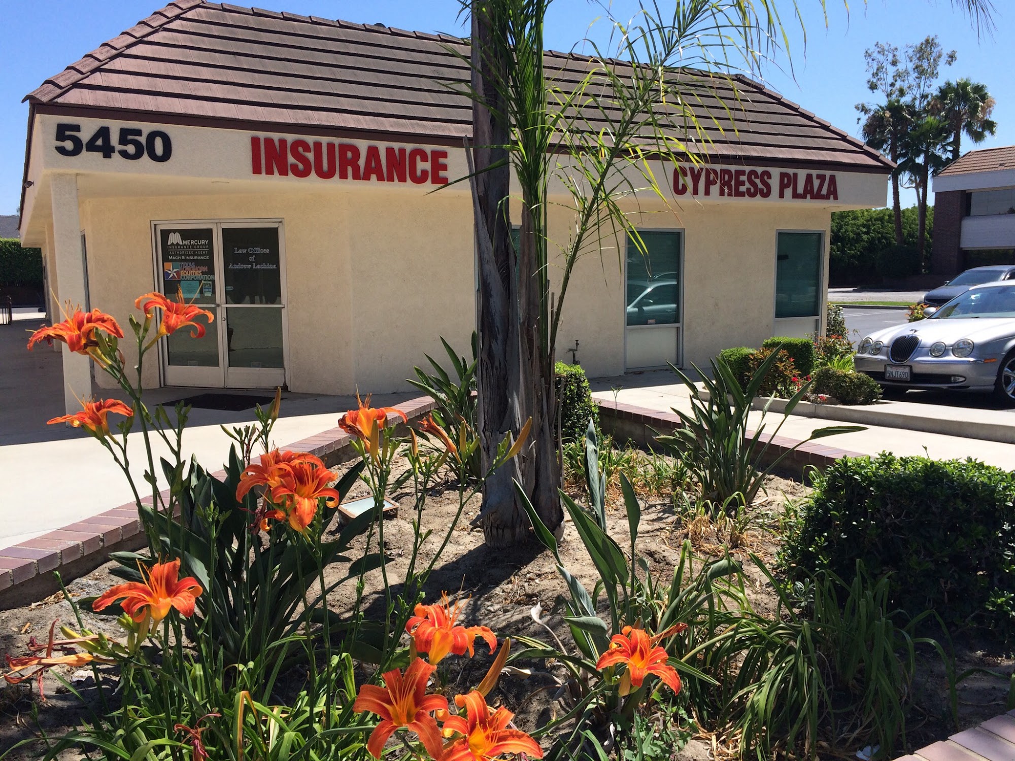 Mach 5 Insurance Services