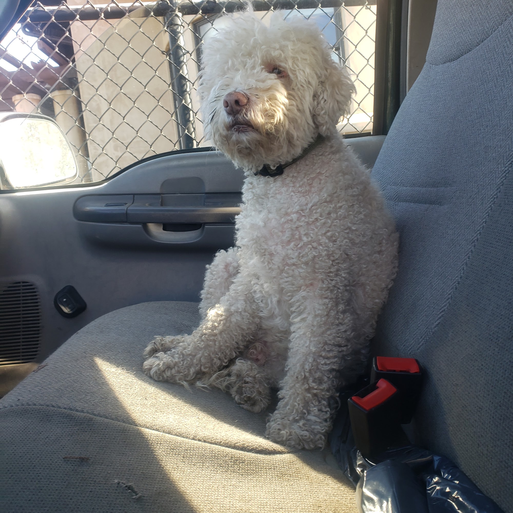 Fatima-Restani Veterinary Hospital Daly City