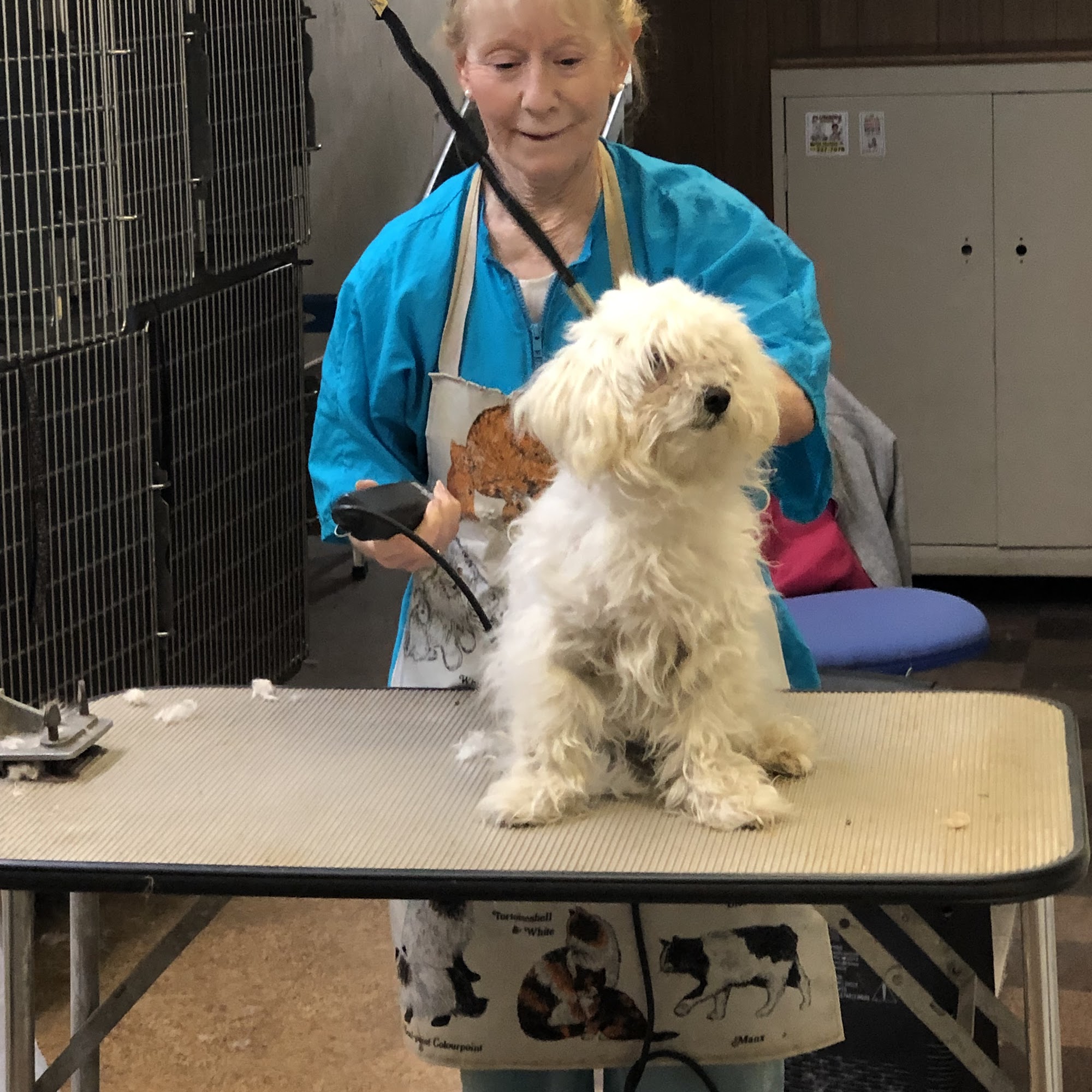 Best Friends Grooming Daly City