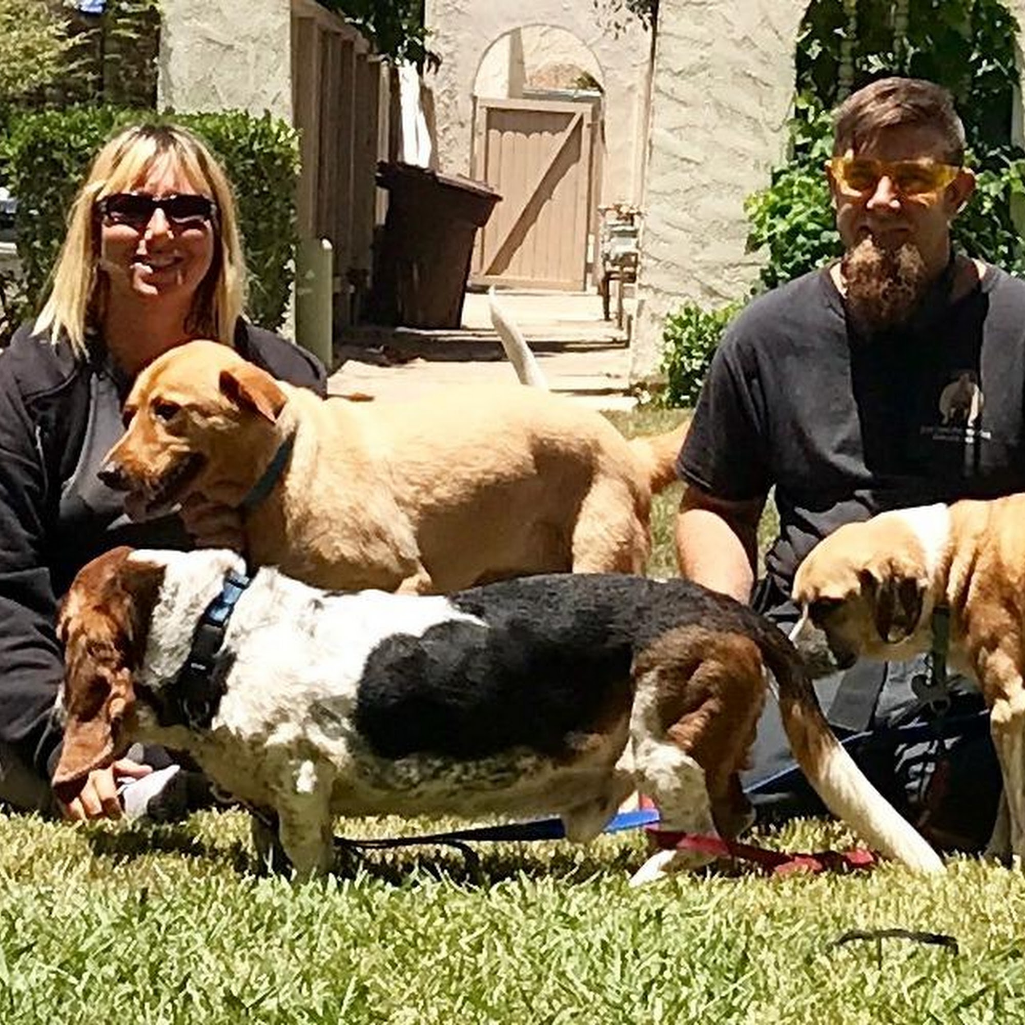 Live Love Pet Walking Dana Point