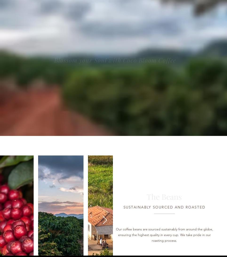 Coco Bloom Coffee Menu