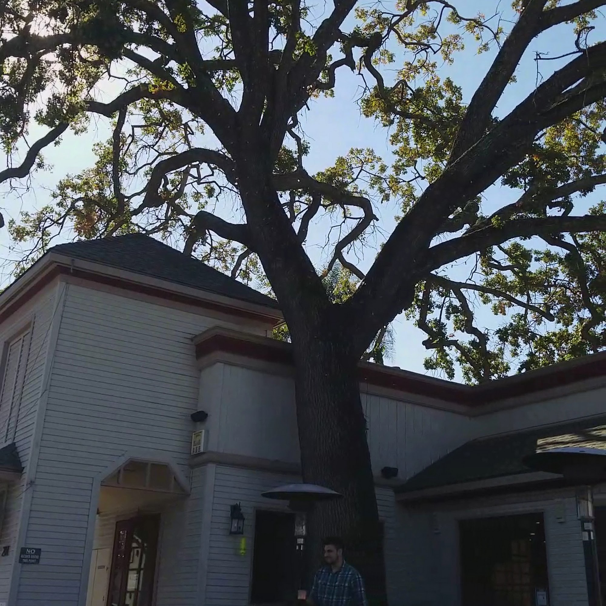 Pete's Brass Rail & Car Wash Danville