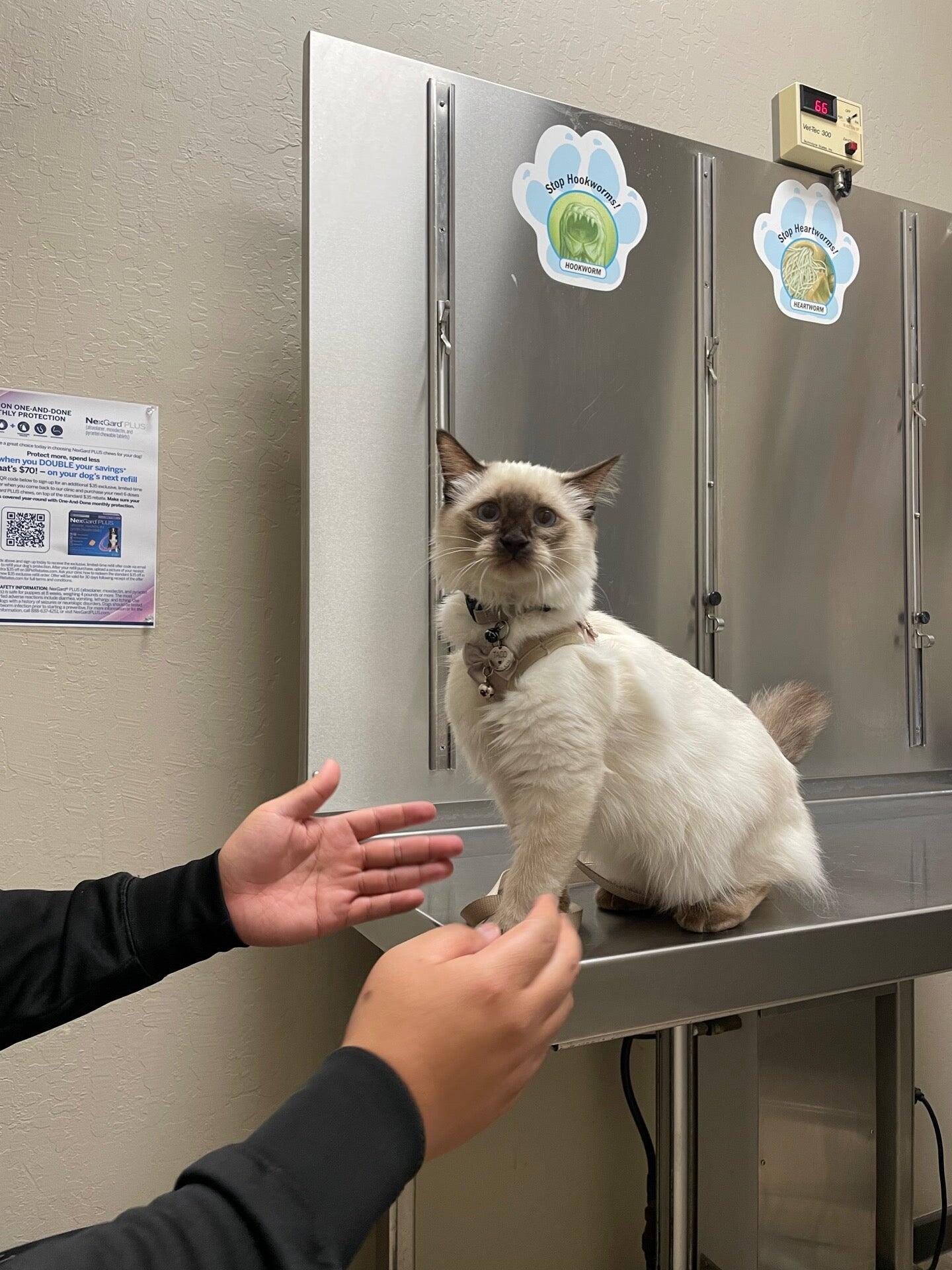 Tassajara Veterinary Clinic Danville