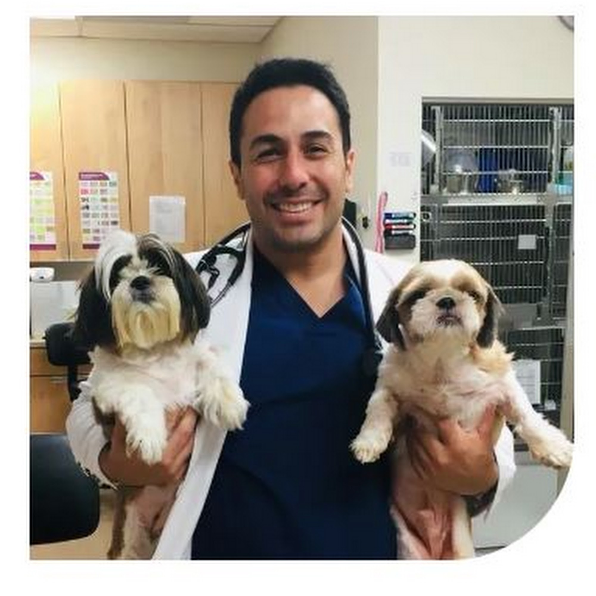 OAK TREE ANIMAL HOSPITAL Danville