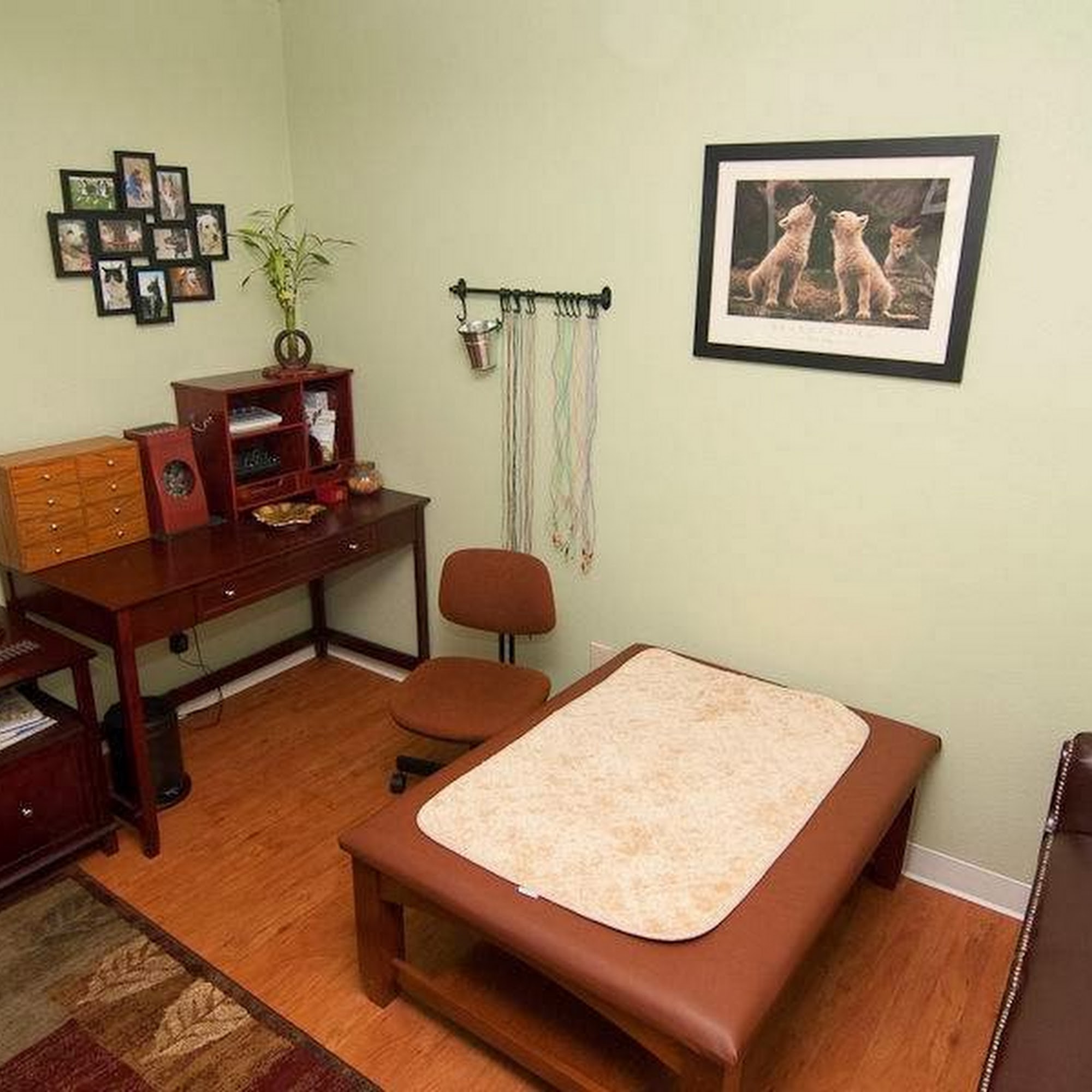 Center for Integrative Animal Medicine Davis