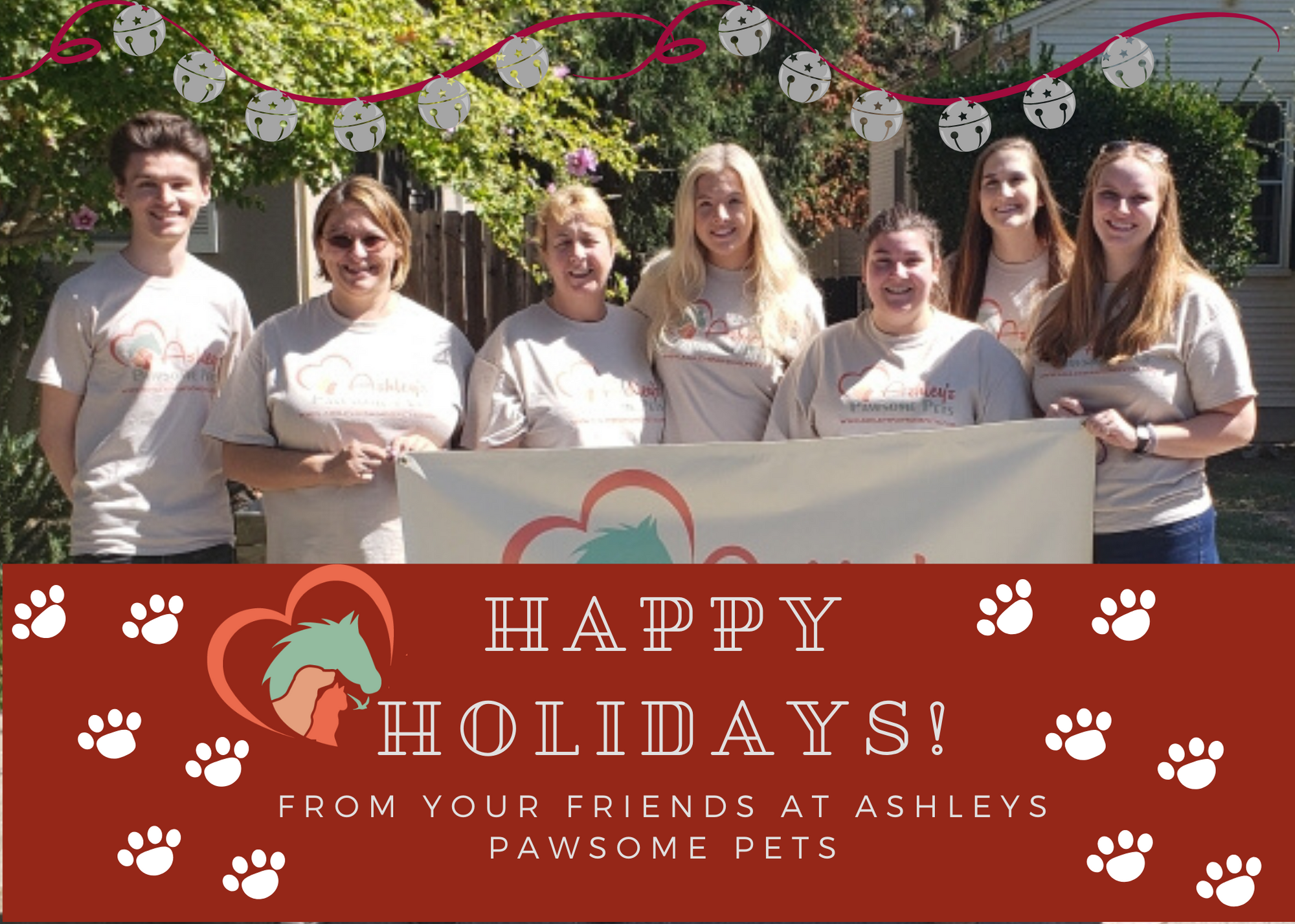 Ashleys Pawsome Pet sitting Davis