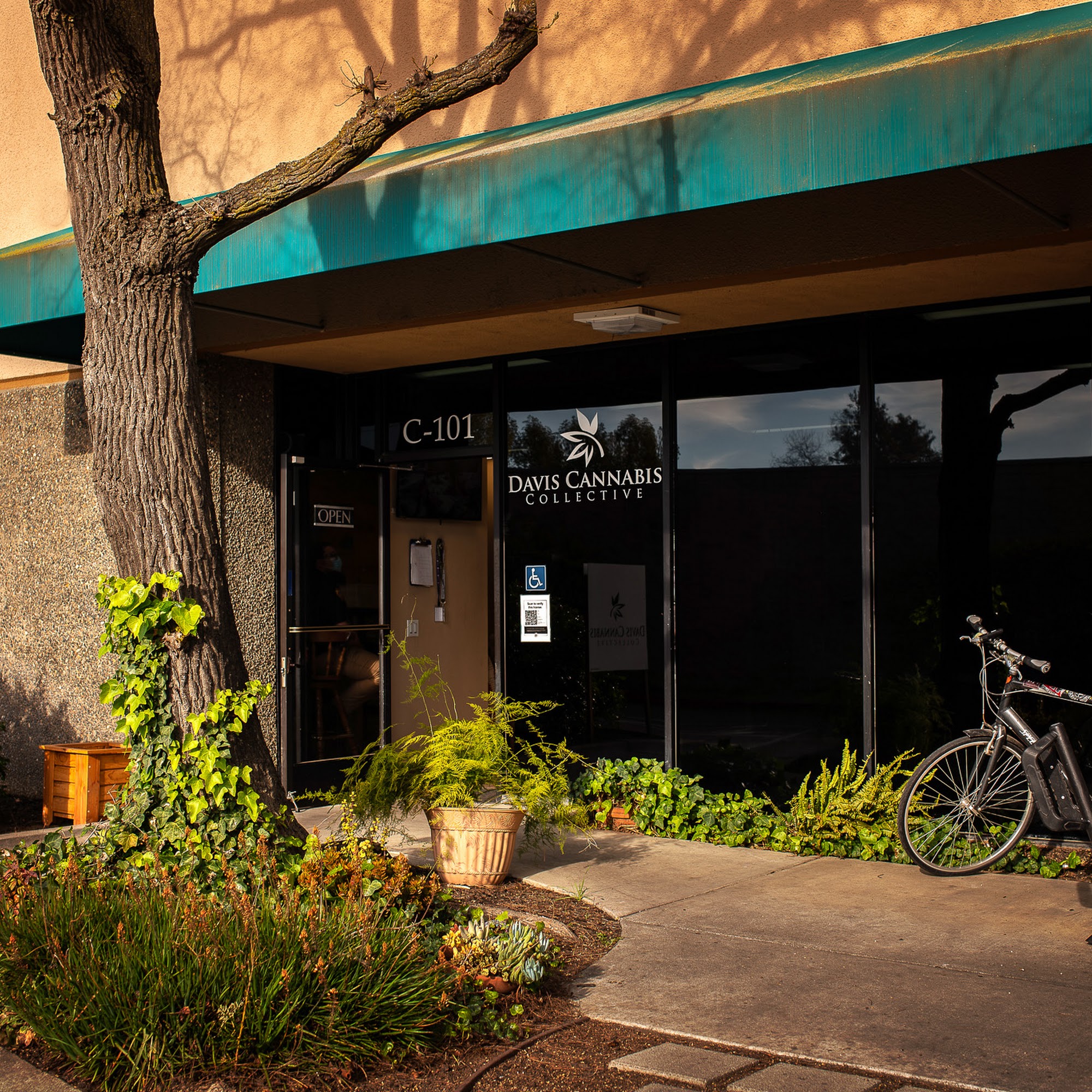 Davis Cannabis Collective - Dispensary and Delivery Davis
