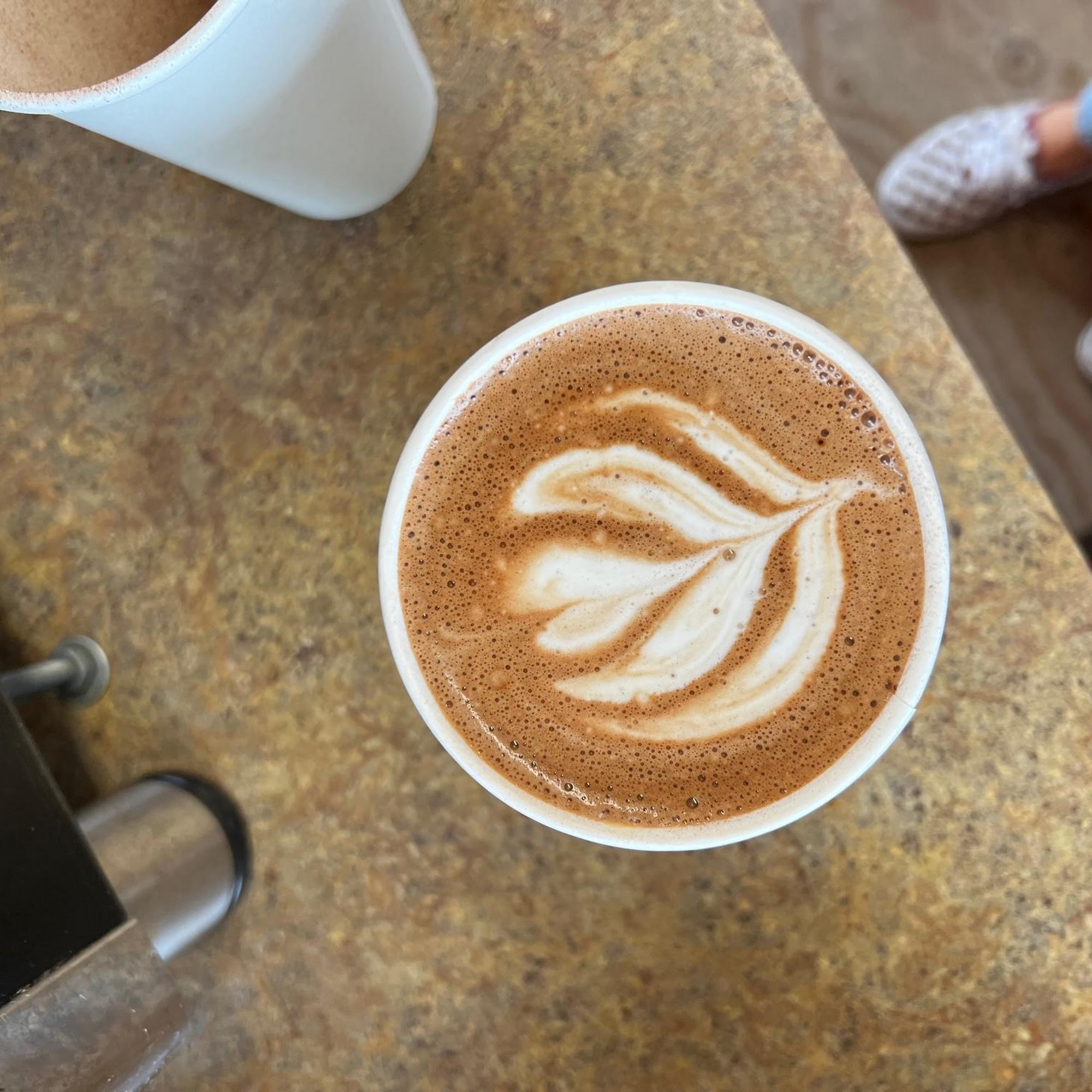 Liquid Bean Cafe Del Mar